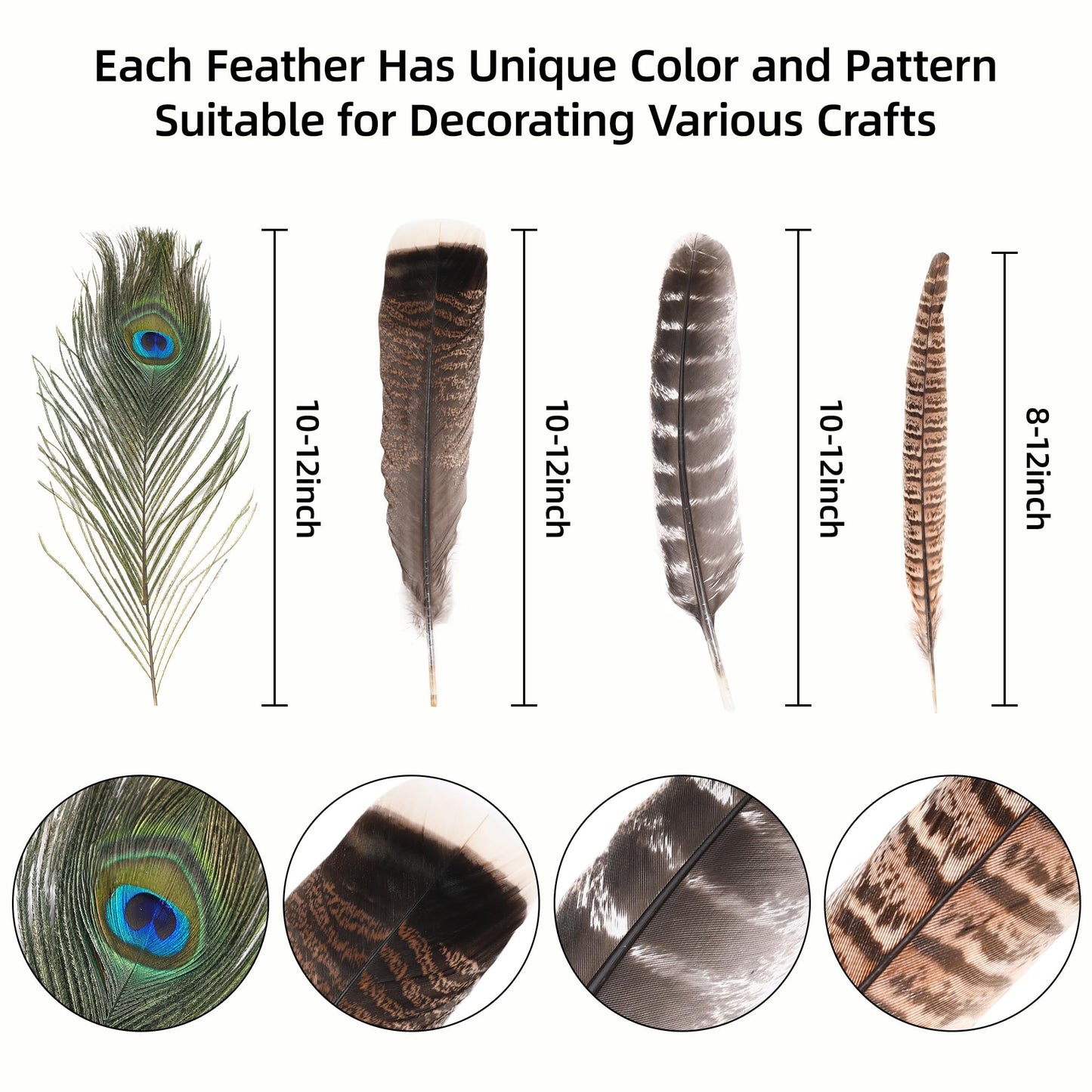 Ballinger Large Natural Pheasant Feathers - 8-12inch 4 Styles 24Pcs Assorted Craft Feathers Bulk,Peacock Feathers, Pheasant Feathers,Turkey Feathers for Crafting Vase Hat Wedding Autumn Party Decor