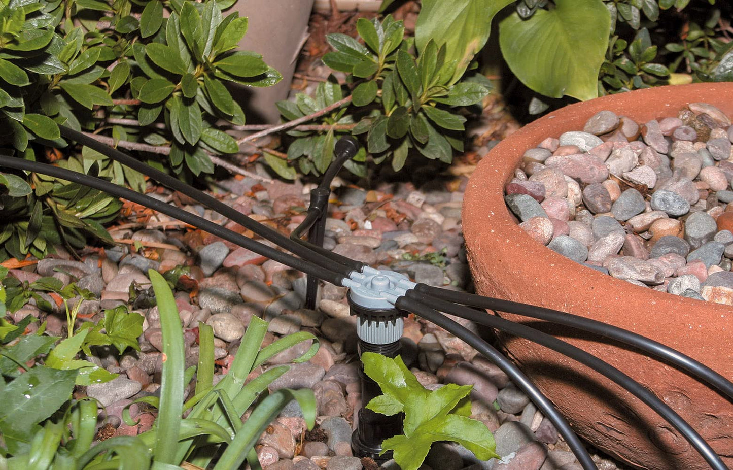 Rain Bird SWDMSPKIT Drip Irrigation Spot Watering Manifold on a Spike Kit, Bubblers and Emitters