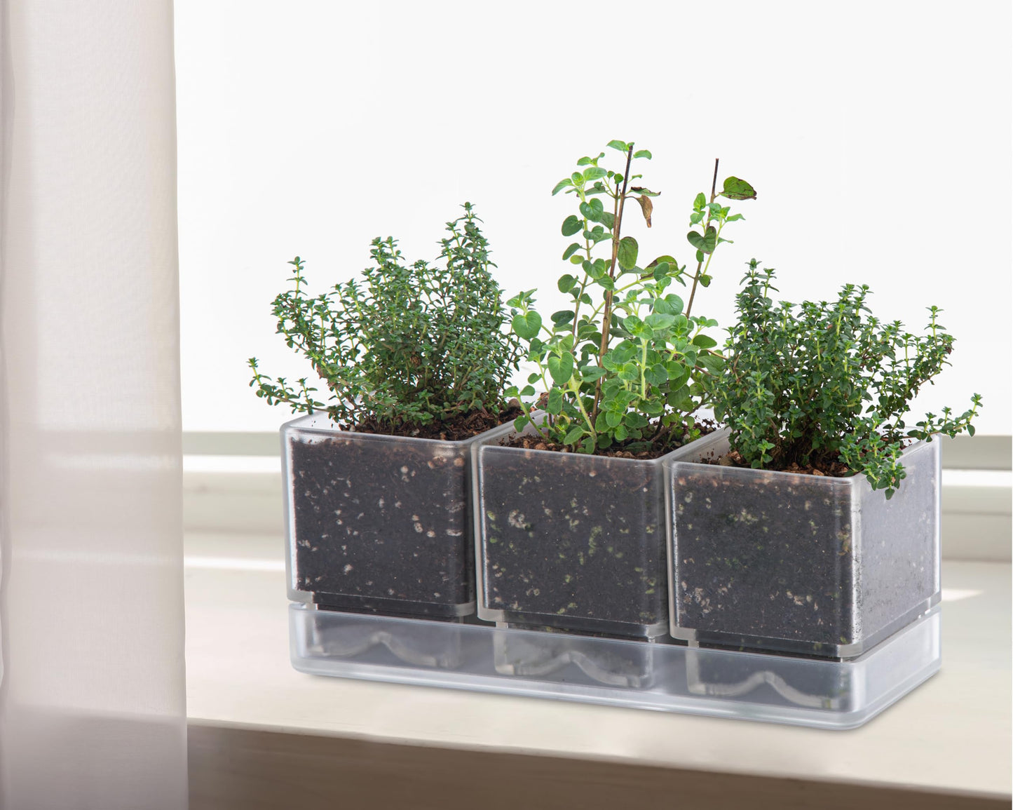 D'vine Dev Herb Garden Planter Set, Acrylic Plant Pots with Drainage and Saucer, Indoor Succulent Cactus Vegetable Pot for Windowsill, Garden Balcony, Clear, Set of 2, 76-V-D-2