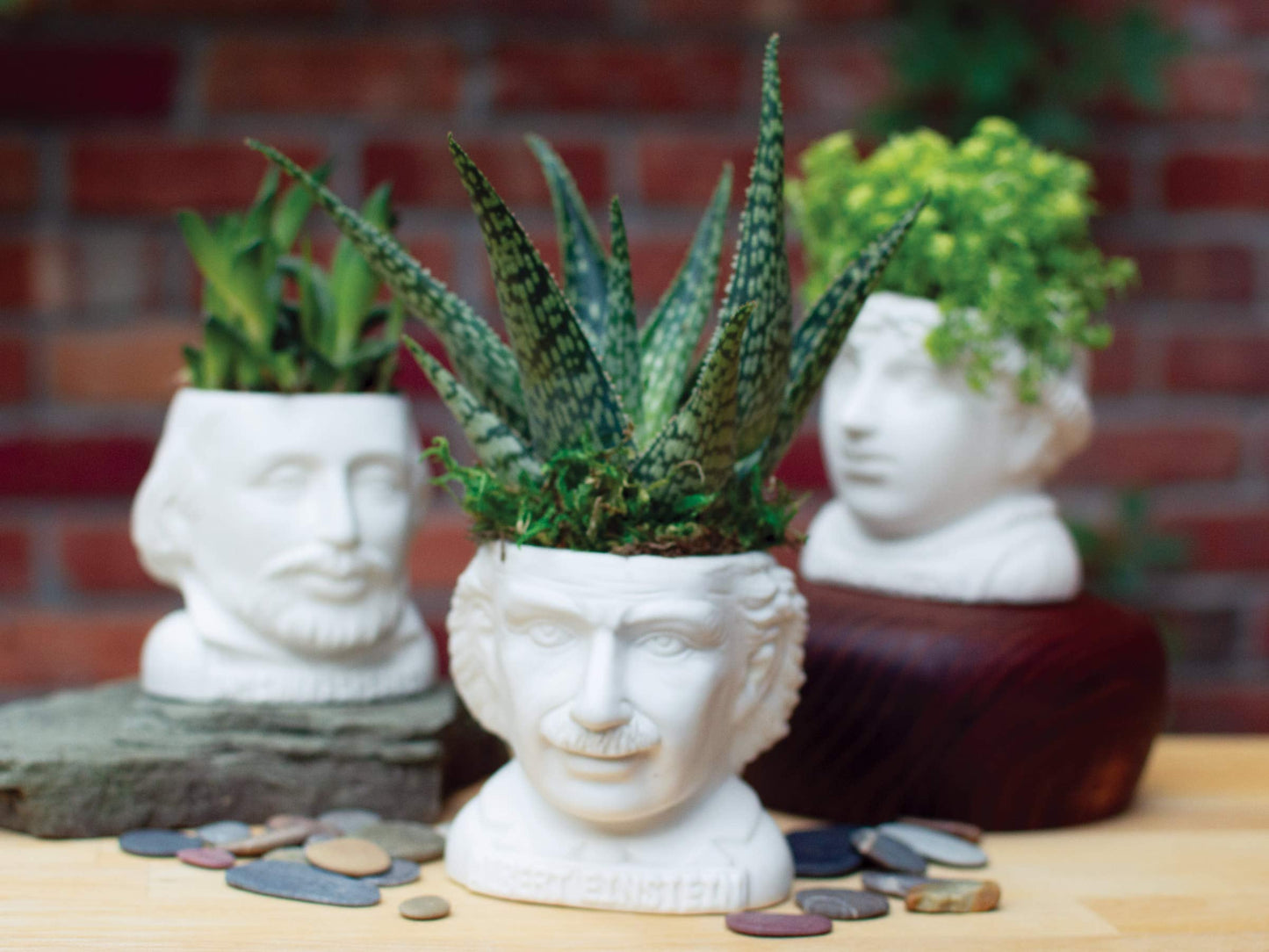 The Unemployed Philosophers Guild Albert Einstein Bust Ceramic Planter