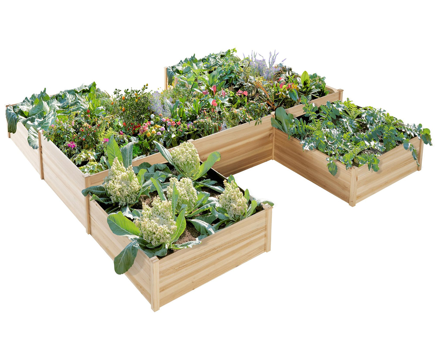 AMERLIFE 12x12x2 FT Wooden Raised Garden Bed, H-Shaped Planter Box with Double-Layer Design, 180 Cu. Ft Capacity for Outdoor Patio & Backyard