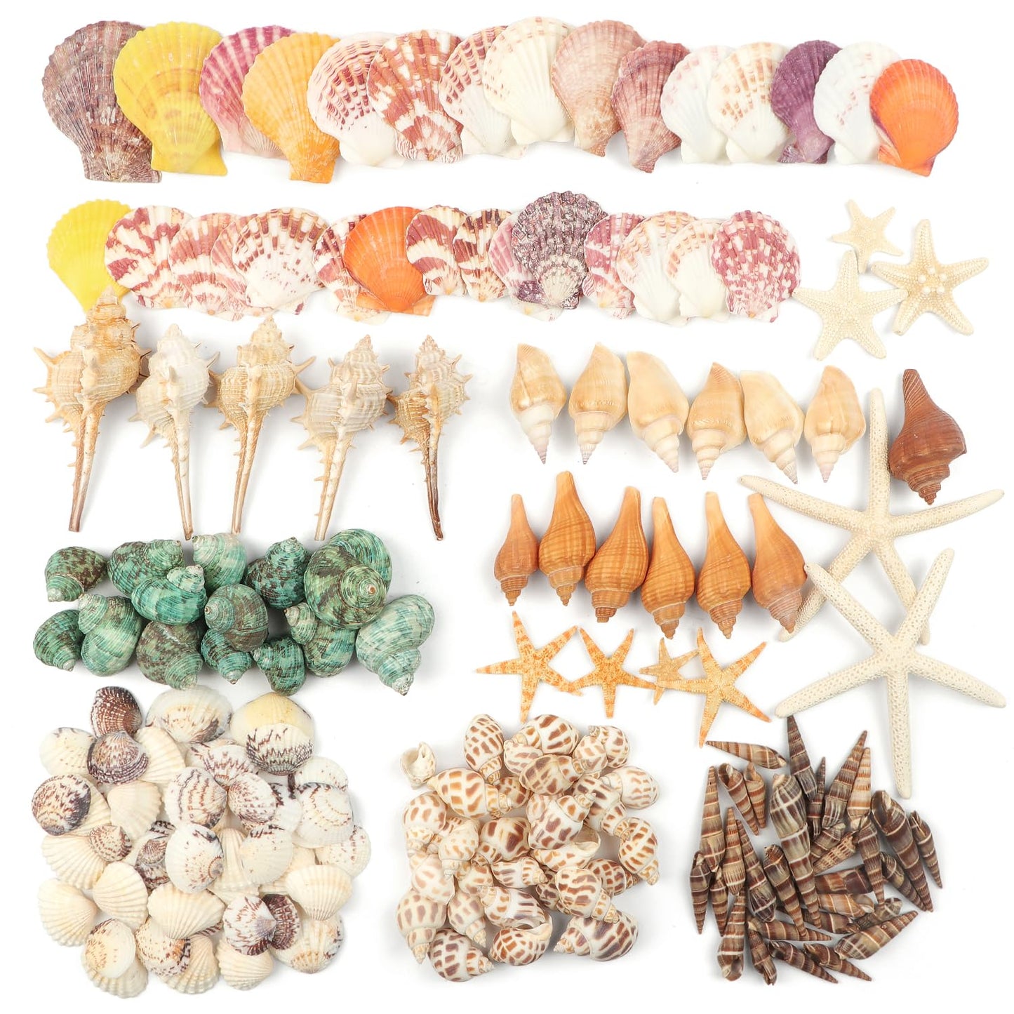 Fangoo 1.5 LB Mixed Sea Shells, 130+ PCS Beach Seashells Starfish Oyster Shells Various Sizes Ocean Seashells for Fish Tank Vase Fillers Beach Theme Party Wedding Decor DIY Crafts Home Decorations