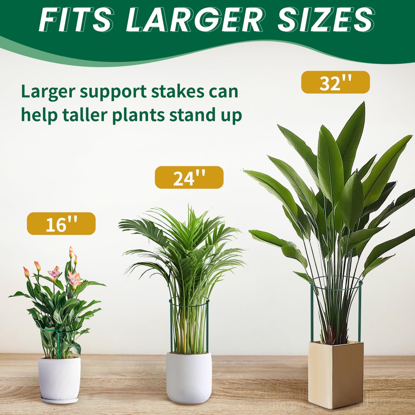 TCBWFY 14" Dx32 H Plant Supports Stakes for Large Heavy Plants,6 Pack Peony Supports,Heavy Duty 5mm Wire Peony Cages,Interlock Garden Supports Ring Border Support,Plant Support Cage for Rose Flower