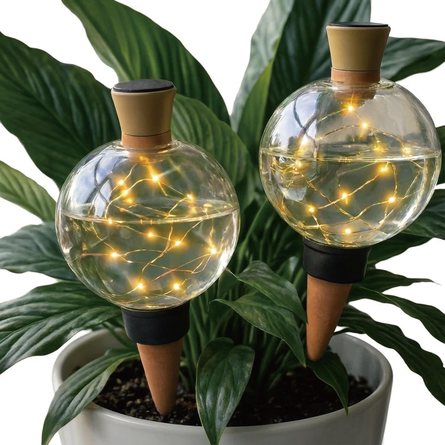 19 oz Extra Large Plant Self Watering Globes Top Fill, LED Night Light Classic Globe Plastic Water Bulbs, Automatic Plant Waterer for Indoor Outdoor Houseplants, Slow Release Planter Insert, 2 Pack