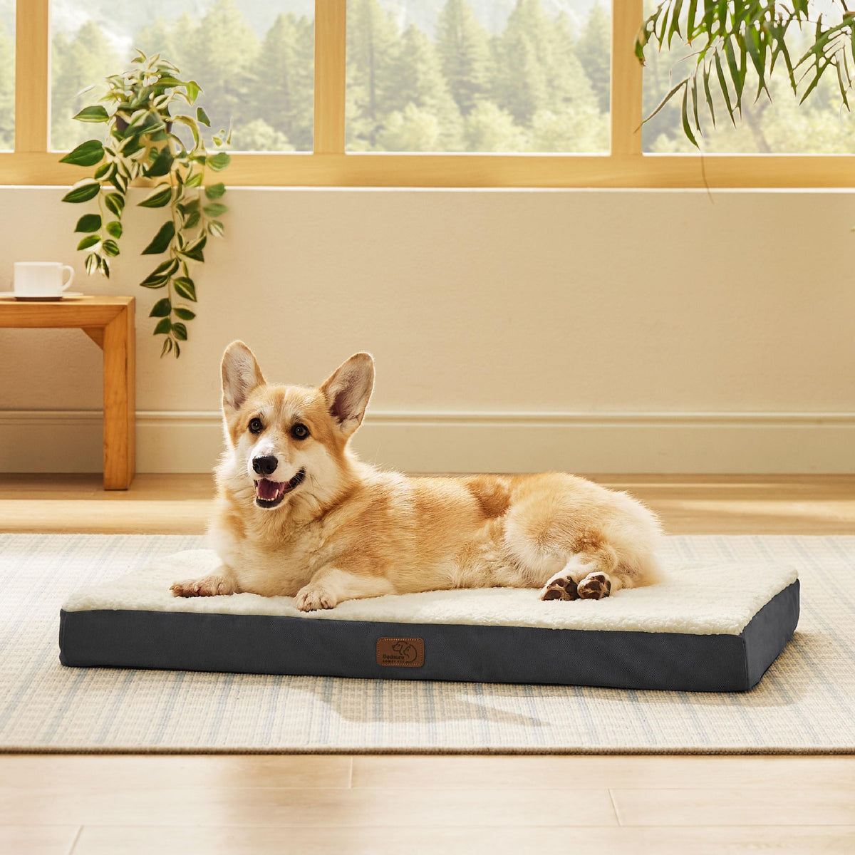 Bedsure Small Dog Bed, Cat Puppy Bed with Comfy Sherpa, 24"x16" Dark Grey