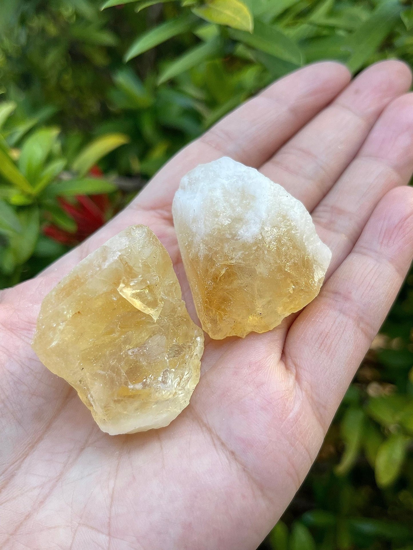 GAF TREASURES Wholesale Raw Citrine Crystals, Natural Citrine Stone, Natural Rough Citrine Crystals, Citrine Rough, Citrine Healing Crystals (Citrine, 0.25 Pound)