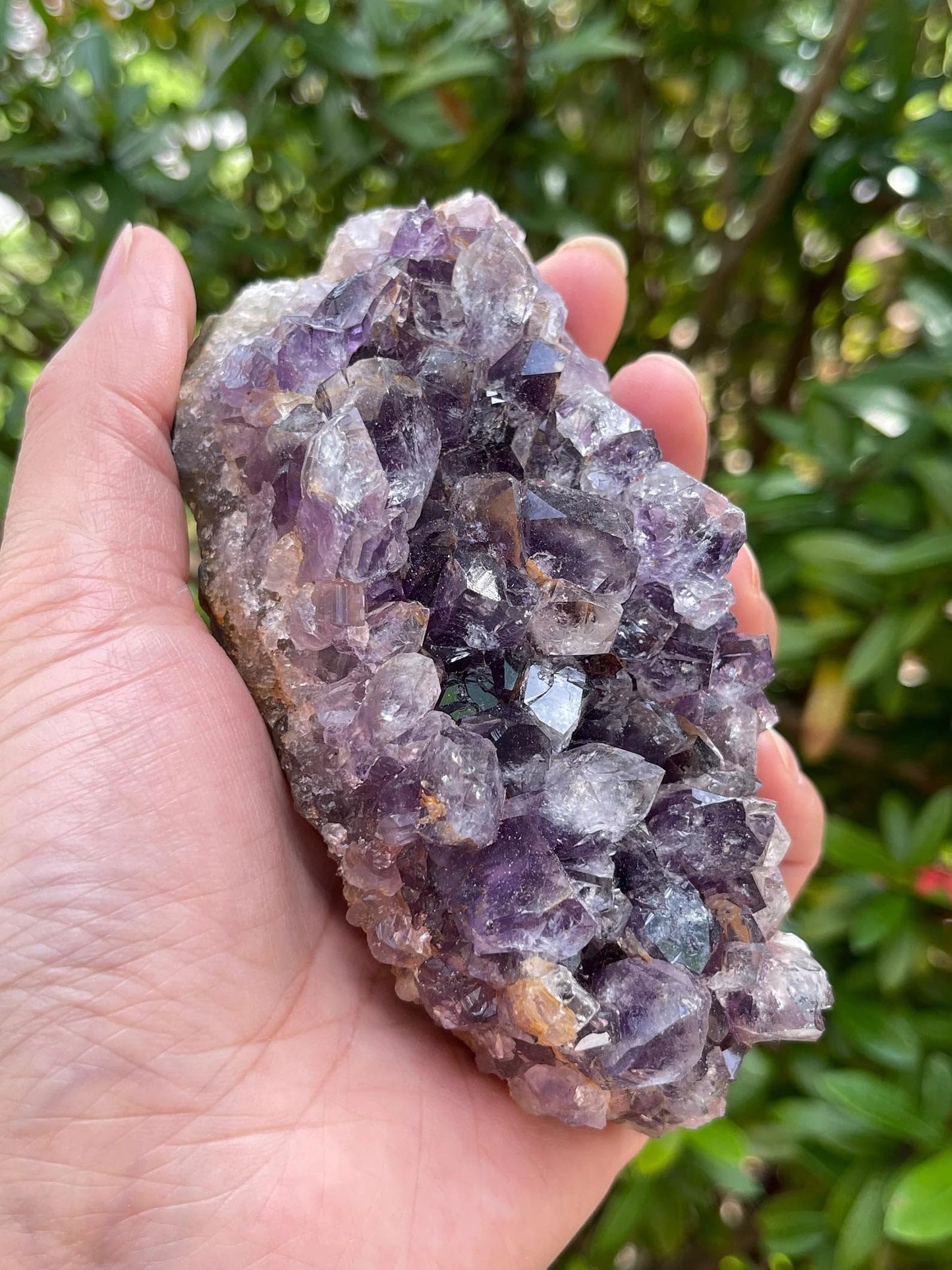 GAF TREASURES XL Raw Amethyst Cluster, 3-4" Natural Rough Amethyst Cluster, Amethyst Cluster Rough, Amethyst Cluster Healing Rough Crystal (Amethyst Cluster, 0.5-1 lb)