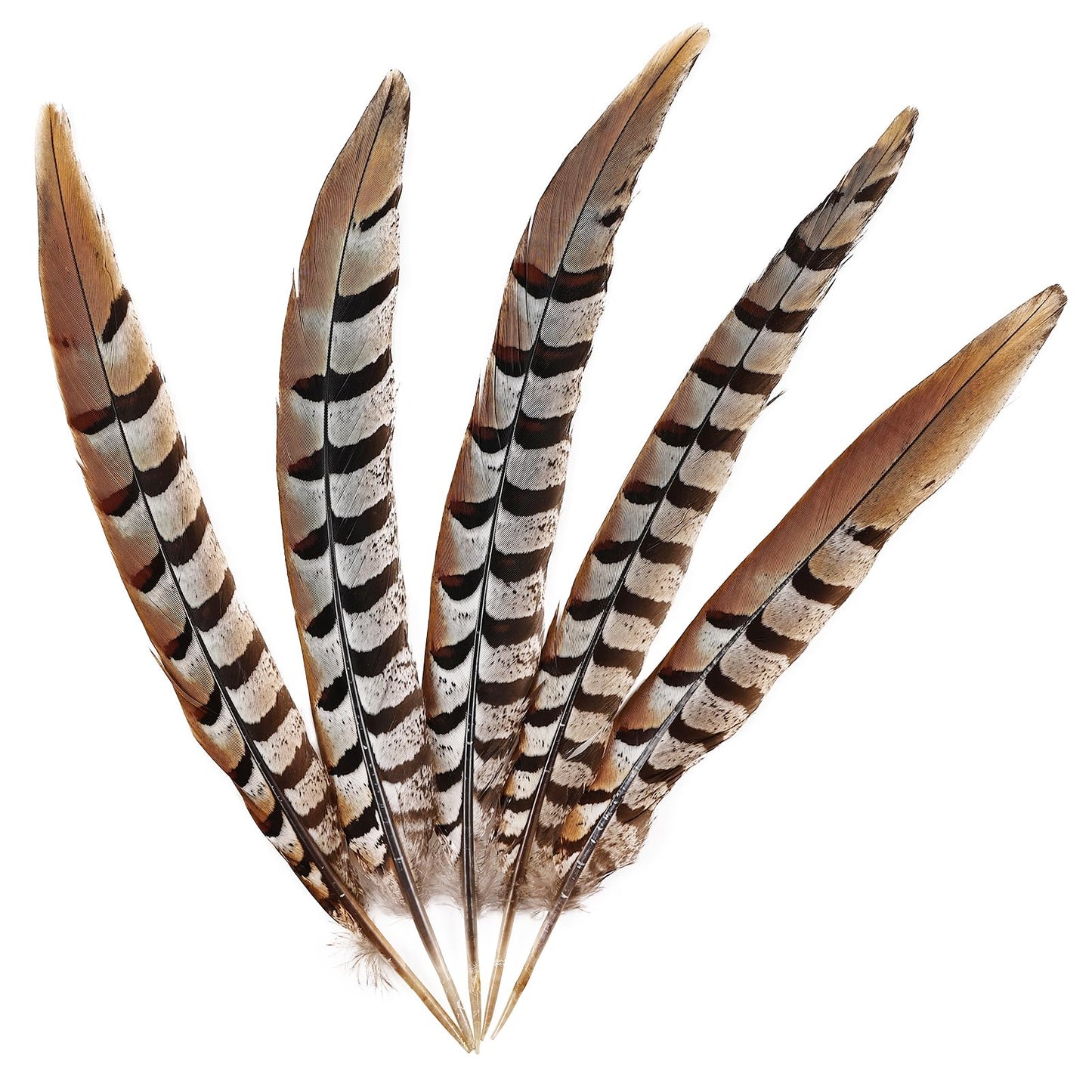 MehelloFeather Feather 5Pcs for Crafts Home Wedding Party Performance DIY Decoration