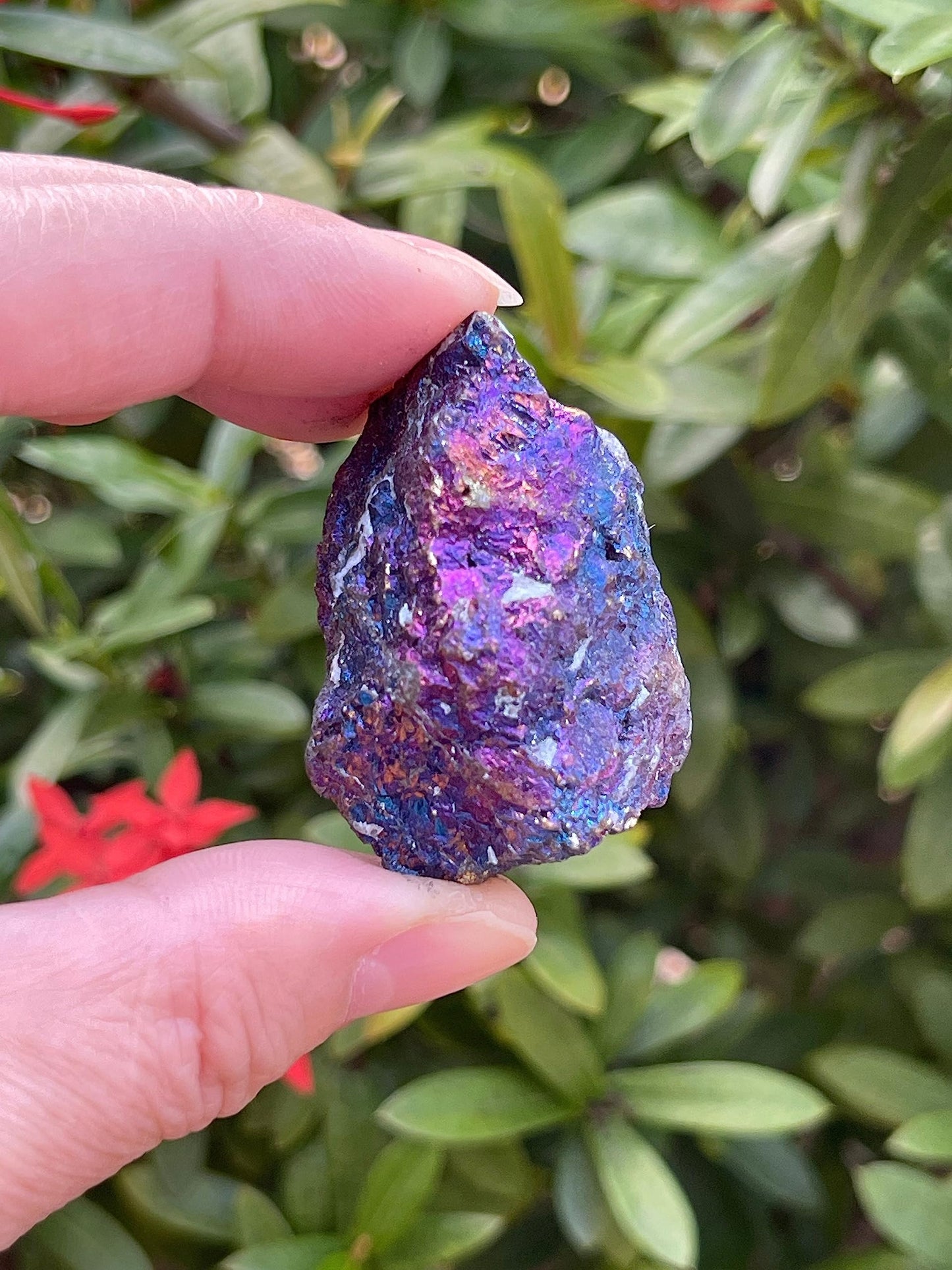 GAF TREASURES Wholesale Raw Chalcopyrite Crystals, Natural Chalcopyrite Stone, Natural Rough Chalcopyrite Crystals, Chalcopyrite Rough, Chalcopyrite Healing Crystals (Chalcopyrite, 0.5 Pound)