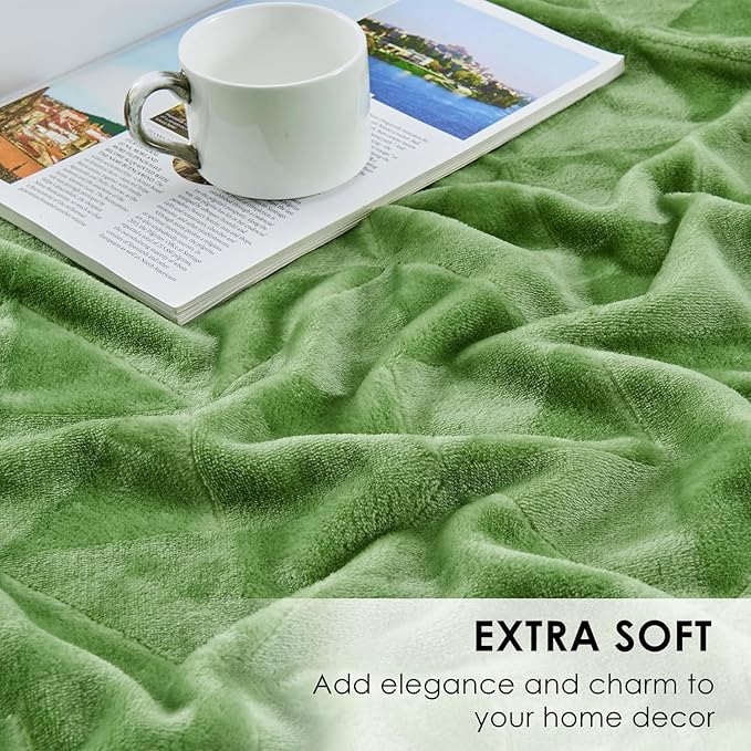 SOCHOW Triangle Textured Flannel Fleece Throw Blanket, Super Soft Lightweight Cozy Warm Plush Blanket for Bed Couch Sofa, 60 x 80 Inches, Sage Green