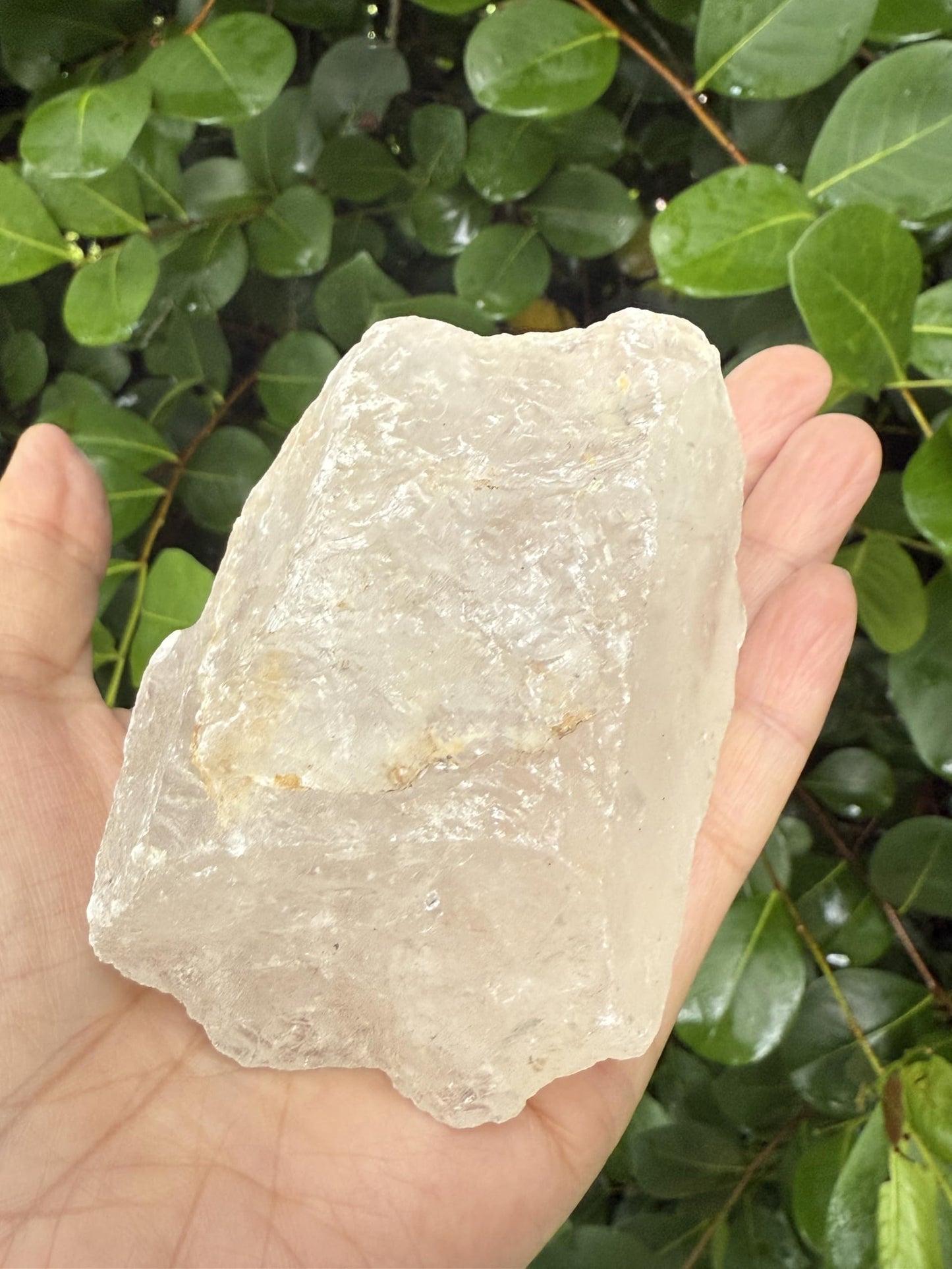 GAF TREASURES XL Raw Clear Quartz, 3-4" Natural Rough Clear Quartz, Clear Quartz Rough, Clear Quartz Healing Rough Crystal (Clear Quartz, 0.5-1 lb)