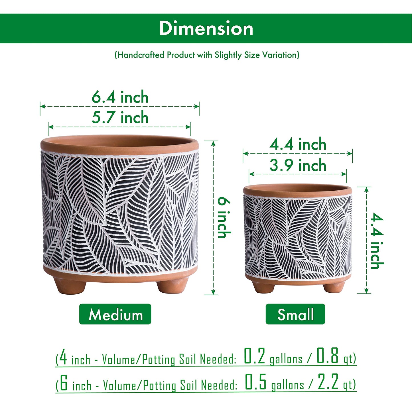 D'vine Dev Set of 2 Terracotta Planter Pots, 4 Inch & 6 Inch, Design Plants Pot with Drainage Hole, Monsoon Jungle, Terracotta/Black, 31-953-H-2