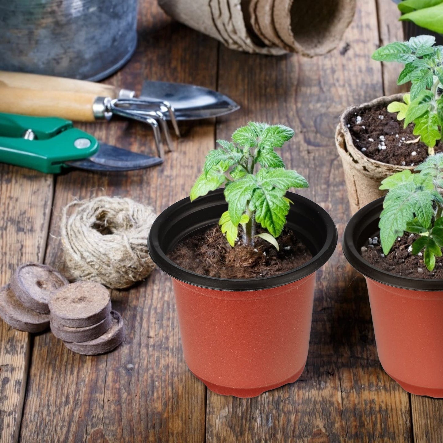 KINGLAKE 100 Pcs 4" Plastic Plants Nursery Pot/Pots Seedlings Flower Plant Container Seed Starting Pots,4 Inch,Red