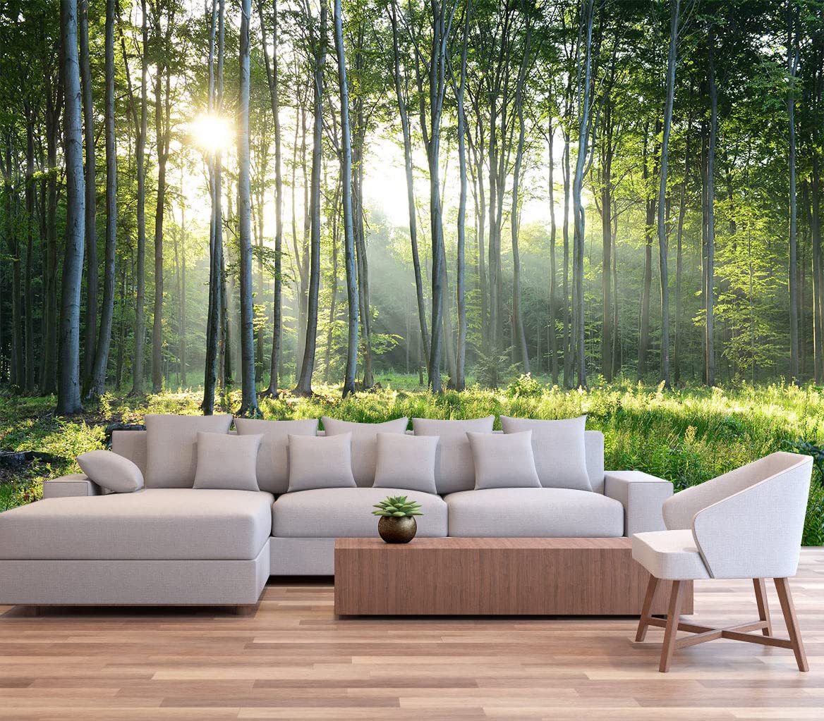Reyhui Sunshine Forest Mural Wallpaper Landscape Tree Wallpaper Large Nature Scenery Wall Mural for Living Room (not self-Adhesive)