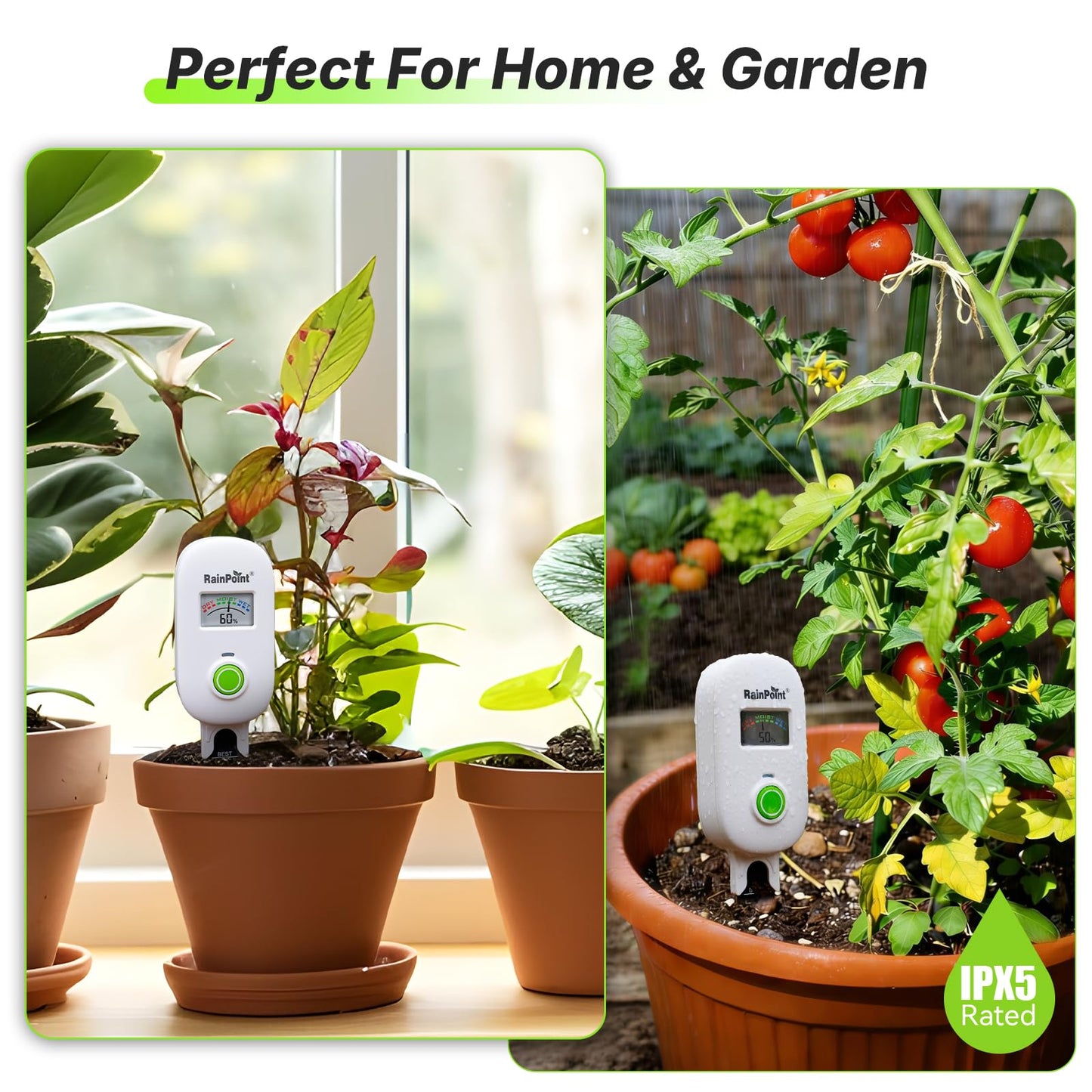 [2026 Version]RAINPOINT Visual Gauge Digital Smart Wireless Plant Moisture Meter,WiFi Hub Needed,Indoor & Outdoor Use,Capacitive Leave-in Soil Hygrometer Sensor Garden House Plant Care Must Haves