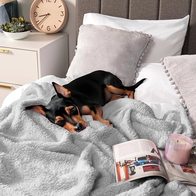 PAVILIA Sherpa Bed Blanket King Size, Light Grey Plush Soft Cozy Blanket for Bed, Fluffy Lightweight Microfiber, Fuzzy All Season Blanket, 90x108 King