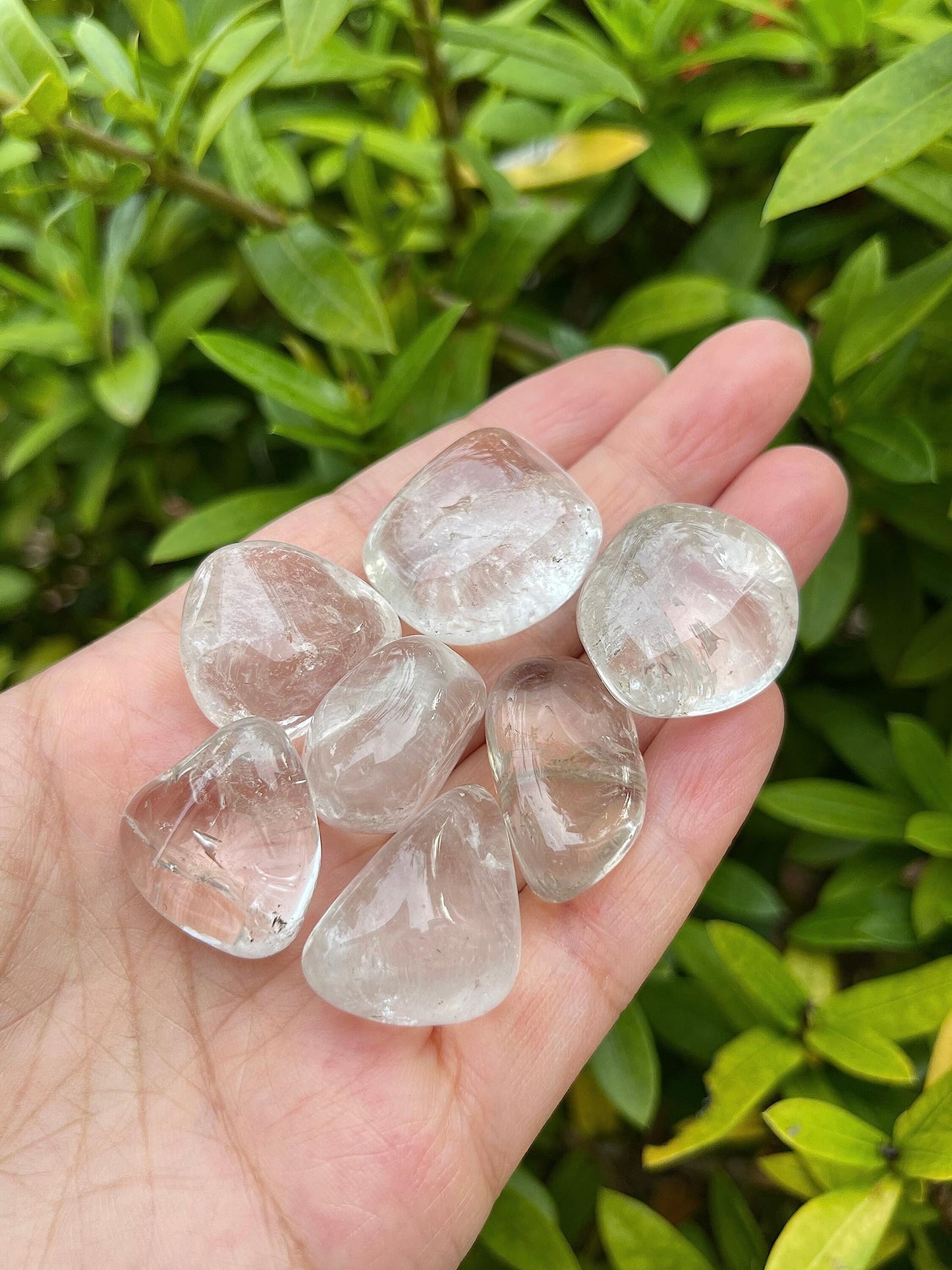 GAF TREASURES 5 Pcs Clear Quartz Tumbled Stones, Polished Natural Clear Quartz Gemstone, Clear Quartz Healing Crystals (Clear Quartz)