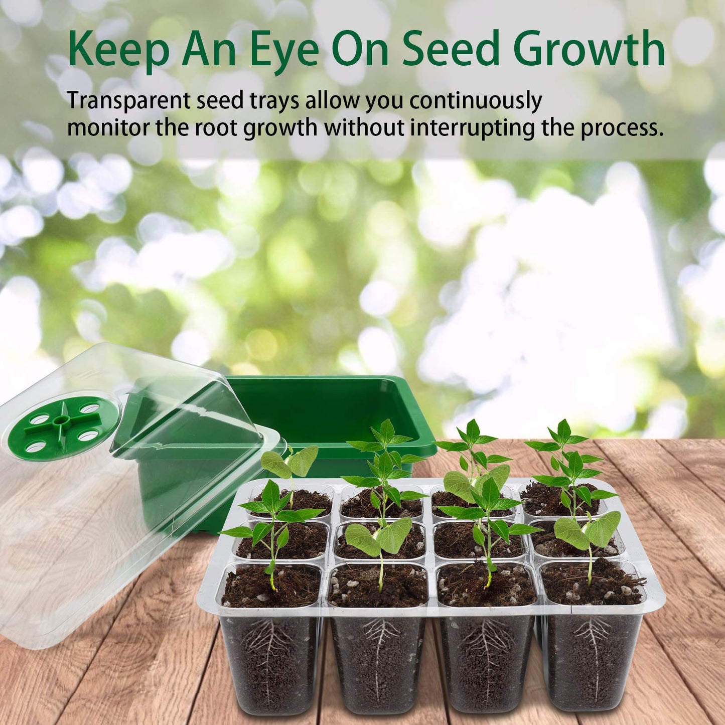 UWIOFF Seed Starter Tray, 12-Pack 144 Cells Seedling Starter Trays, Humidity Adjustable Seed Tray Kit with Dome and Base Greenhouse Grow Trays Mini Propagator for Seeds Growing Starting