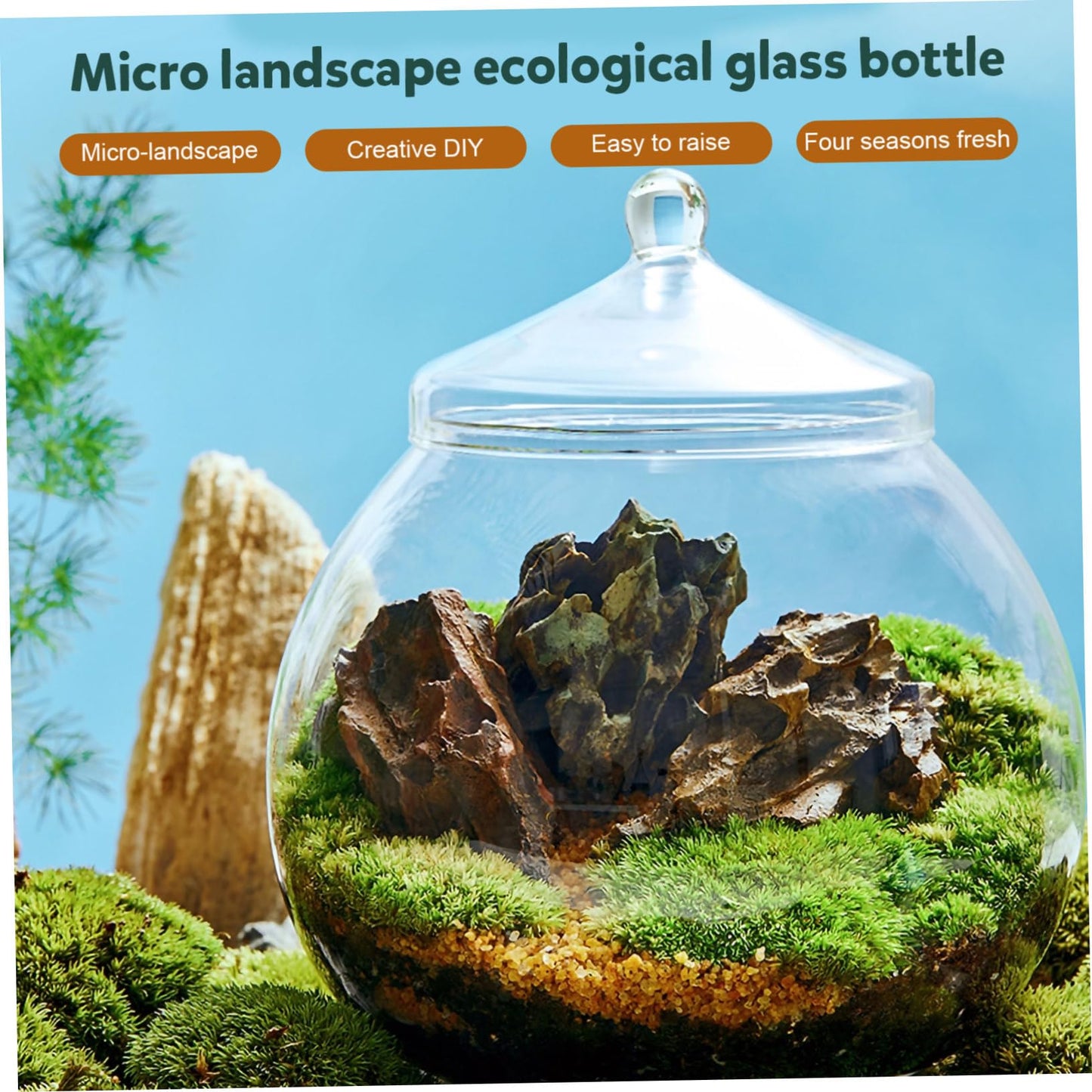 Glass Plant Terrarium Lid Eco Bottle Terrarium Jars Moss Ball Decorative Vase Style