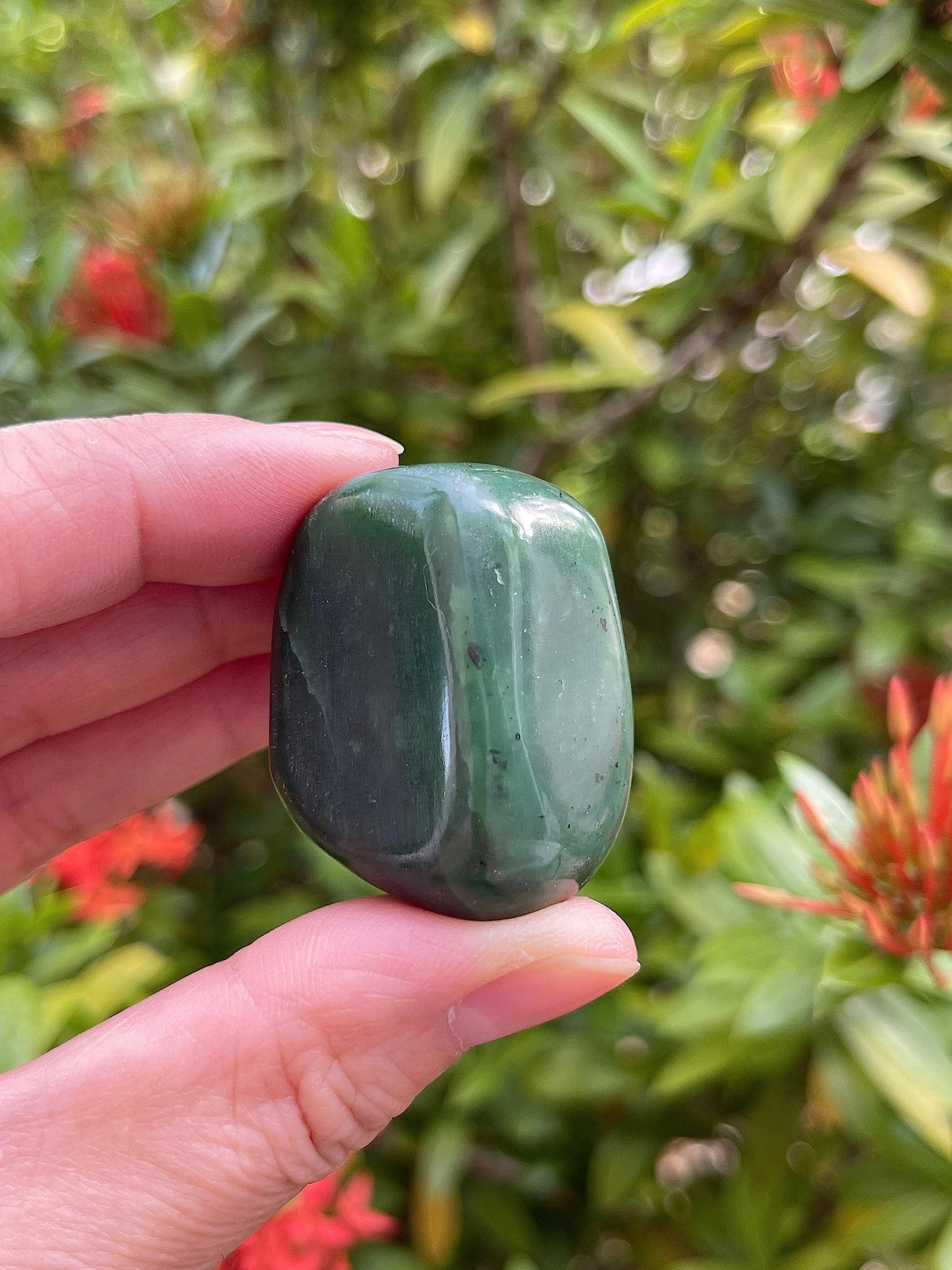 GAF TREASURES 5 Pcs Nephrite Jade Tumbled Stones, Polished Natural Nephrite Jade Gemstone, Nephrite Jade Healing Crystals (Nephrite Jade)