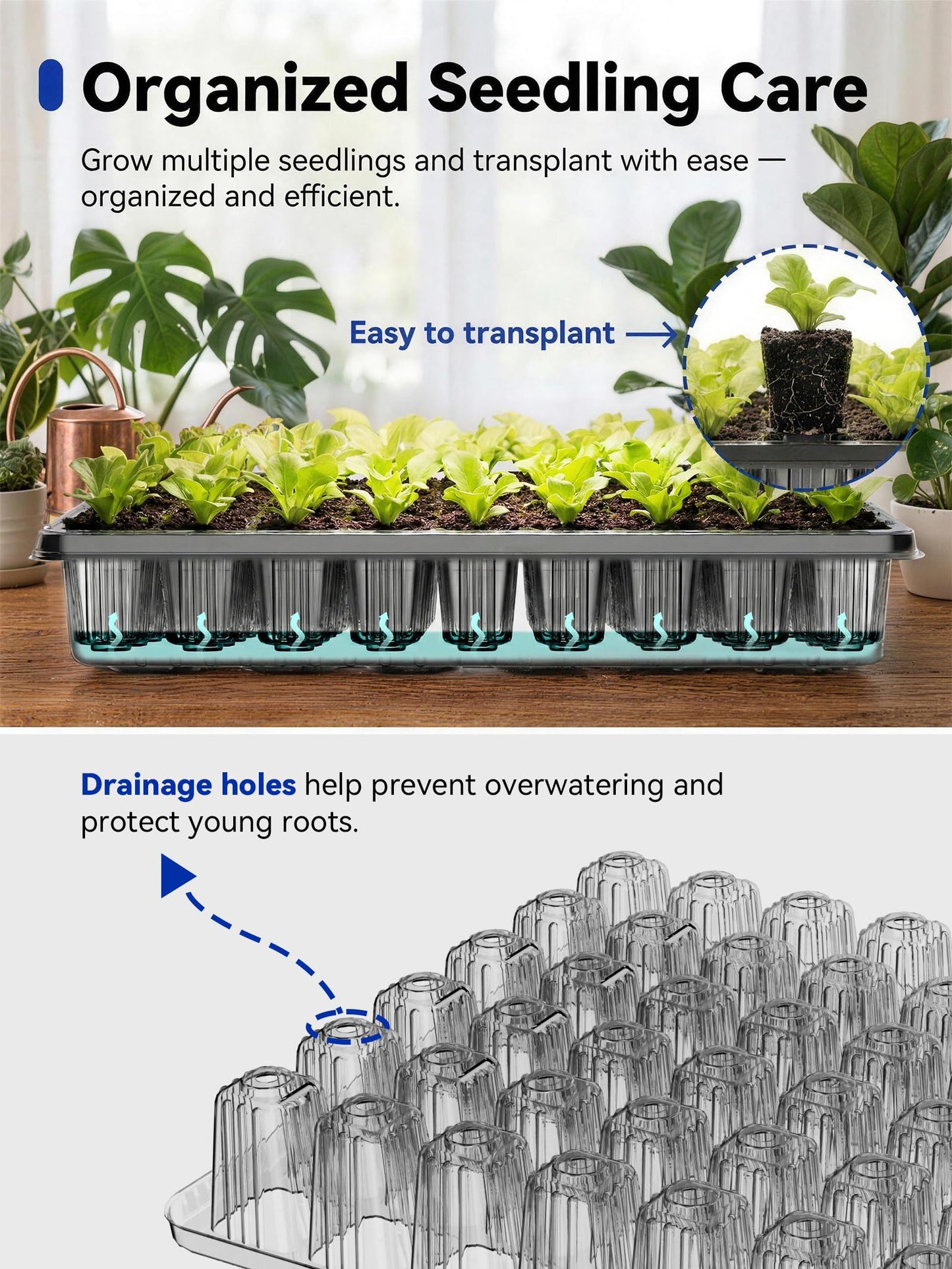 GLOWRIUM Seed Starter Tray with Grow Lights, 1 Pack 54-Cell Seed Starter Kit with 4.3" Humidity Dome, Indoor Seedling Starter Tray with 3/9/12/16h Timer, Adjustable Brightness Seed Starting Trays