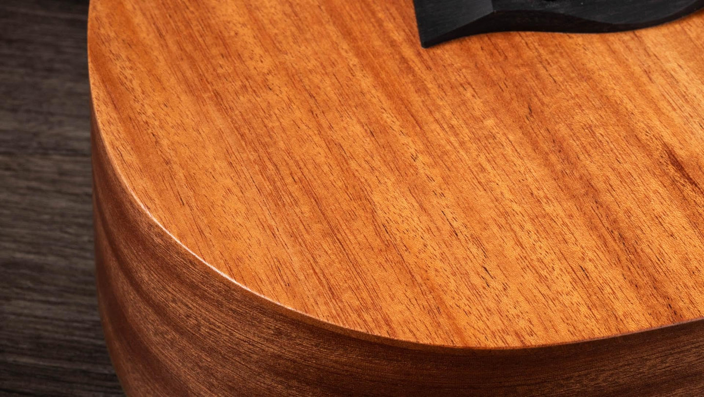 Taylor Baby BT-2 Mahogany