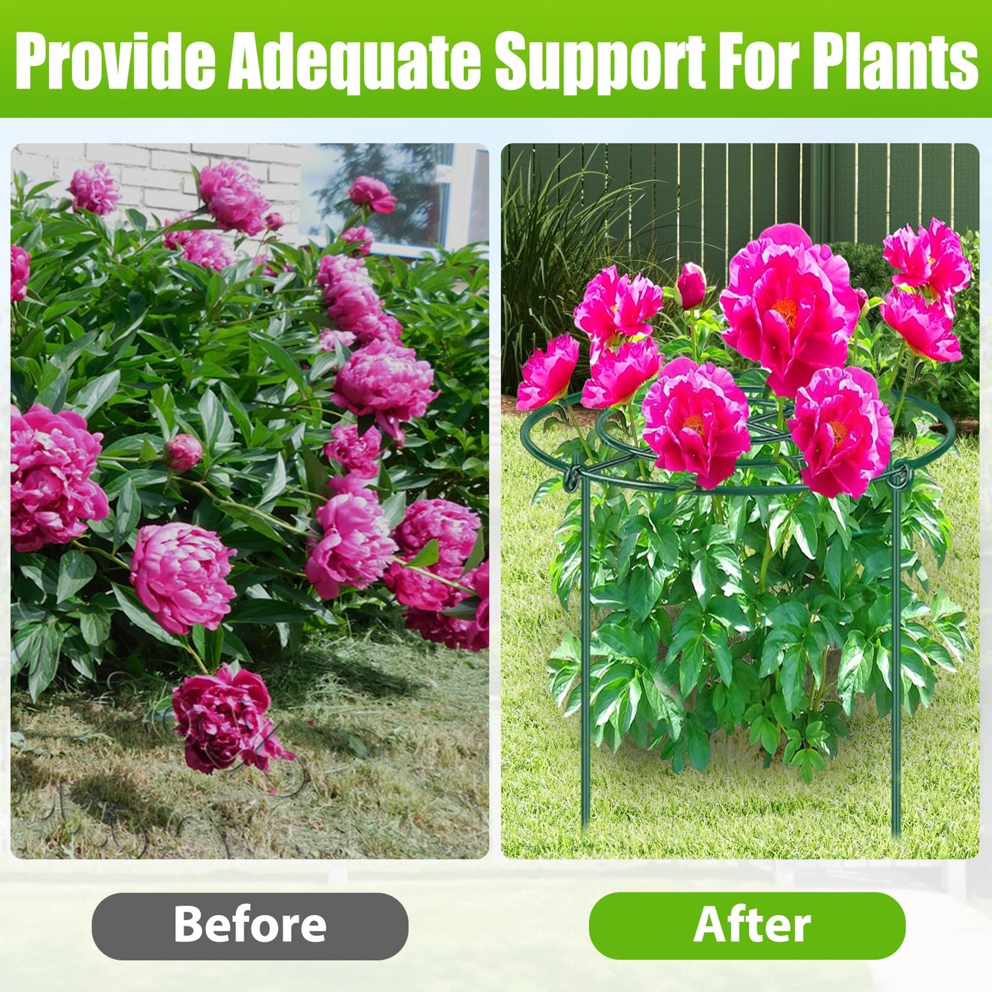 8 Pack Peony Cages and Supports, 11.5" Dx16 H Plant Supports for Outdoor Plants, Heavy Duty Metal Peony Support Cage Flower Support Rings, Plant Support Ring for Rose Tomato Hydrangea Strawberry