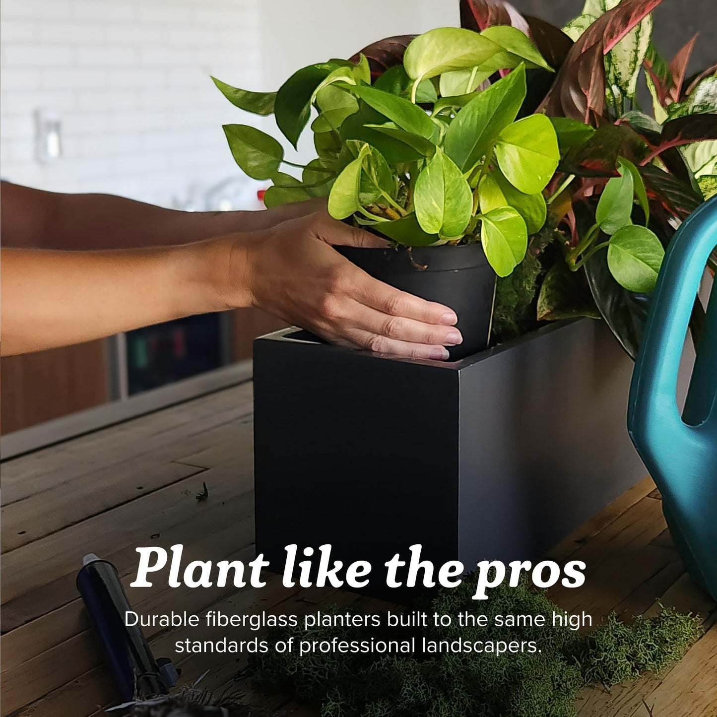 Greenline Jack Square Cube Planter - Indoor/Outdoor Large Fiberglass Lightweight Planter - 28" x 28" x 28" (Gloss Eggplant)