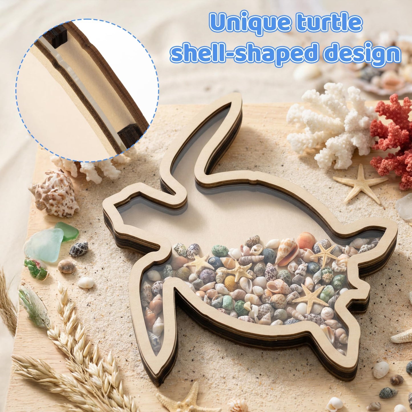 VERSRH Turtle Shell Collection Box - Wooden Sea Handcrafted Coastal Decor Display Case with Clear Acrylic Panel for Seashells Sea Glass Beach House Decor Memory Keepsake & Vacation Gift
