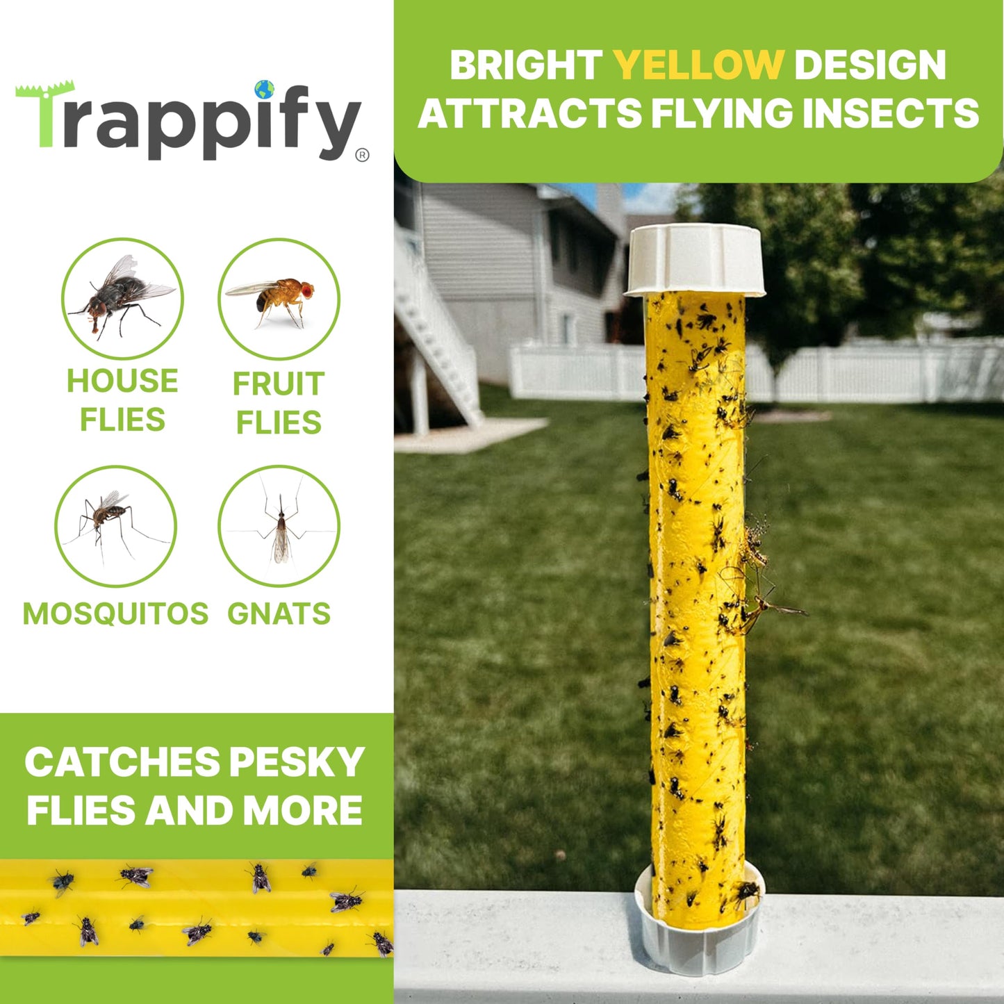 Trappify Hanging Fly Traps Outdoor: Fruit Flies and Flying Insect Trap for Indoor & Outdoor Use I Disposable Sticky Fly Trap Indoor House Pest Control (4 Pack)