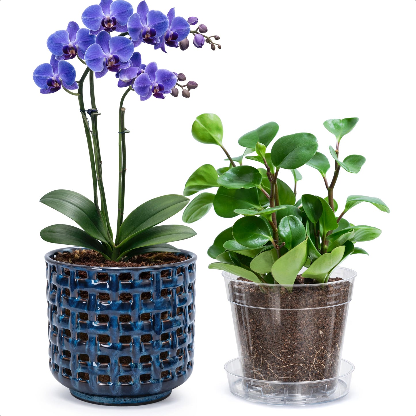 D'vine Dev 6.7 Inch Ceramic Orchid Planter with Lattice Cutout Design, Glazed Cachepot with Clear Nursery Pot & Detachable Saucer for Orchids and Indoor Plants, Midnight Blue, 28-A-Y-2