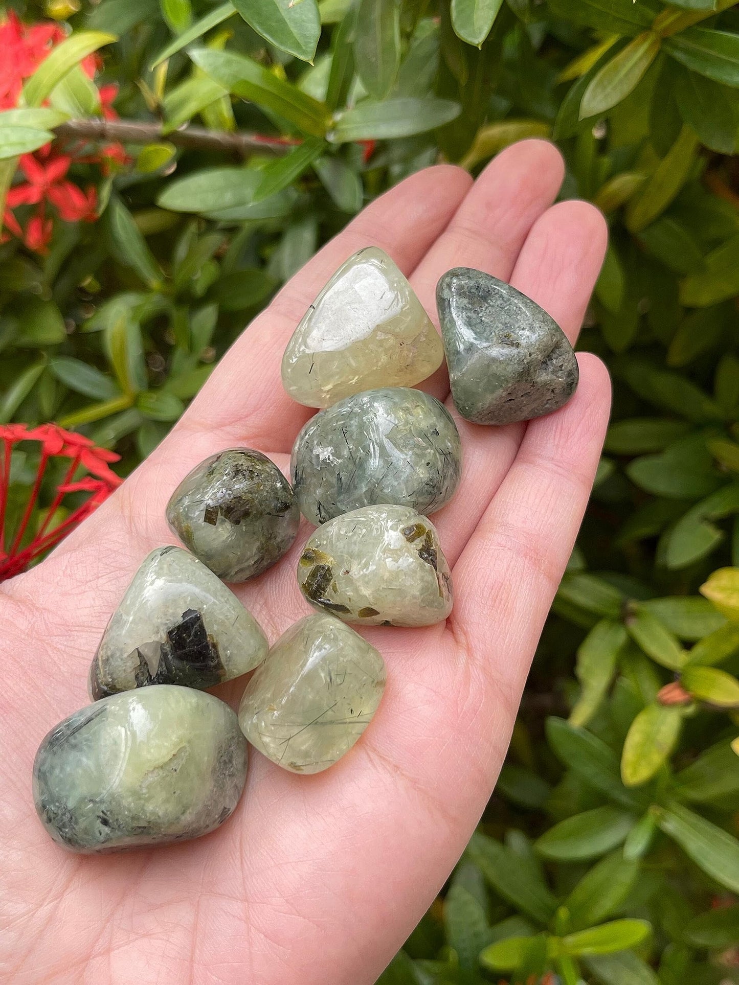 GAF TREASURES 5 Pcs Citrine Tumbled Stones, Polished Citrine Gemstone, Citrine Healing Crystals (Citrine)