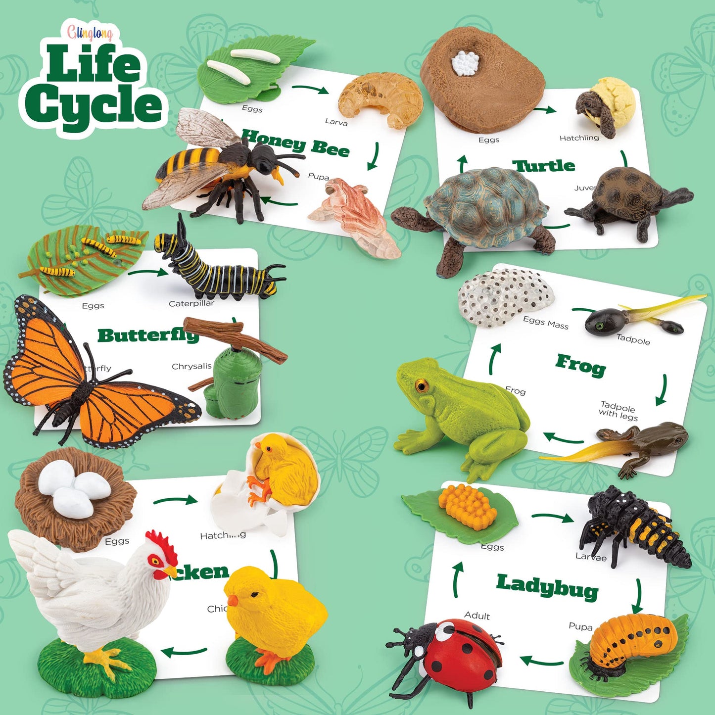 Life Cycle Animal Kit - Montessori Science Toy with 24-Piece Matching Game, Butterfly, Frog, Chicken, Bee, Ladybug and Turtle STEM Educational Gift, Easter Basket fillers for Kids Ages 3-8