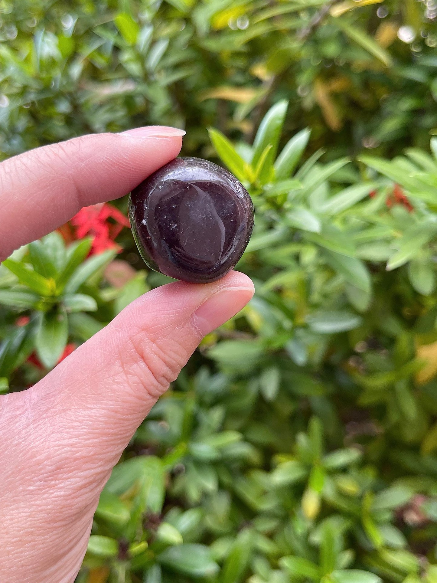 GAF TREASURES 5 Pcs Garnet Tumbled Stones, Polished Garnet Gemstone, Garnet Healing Crystals (Garnet)