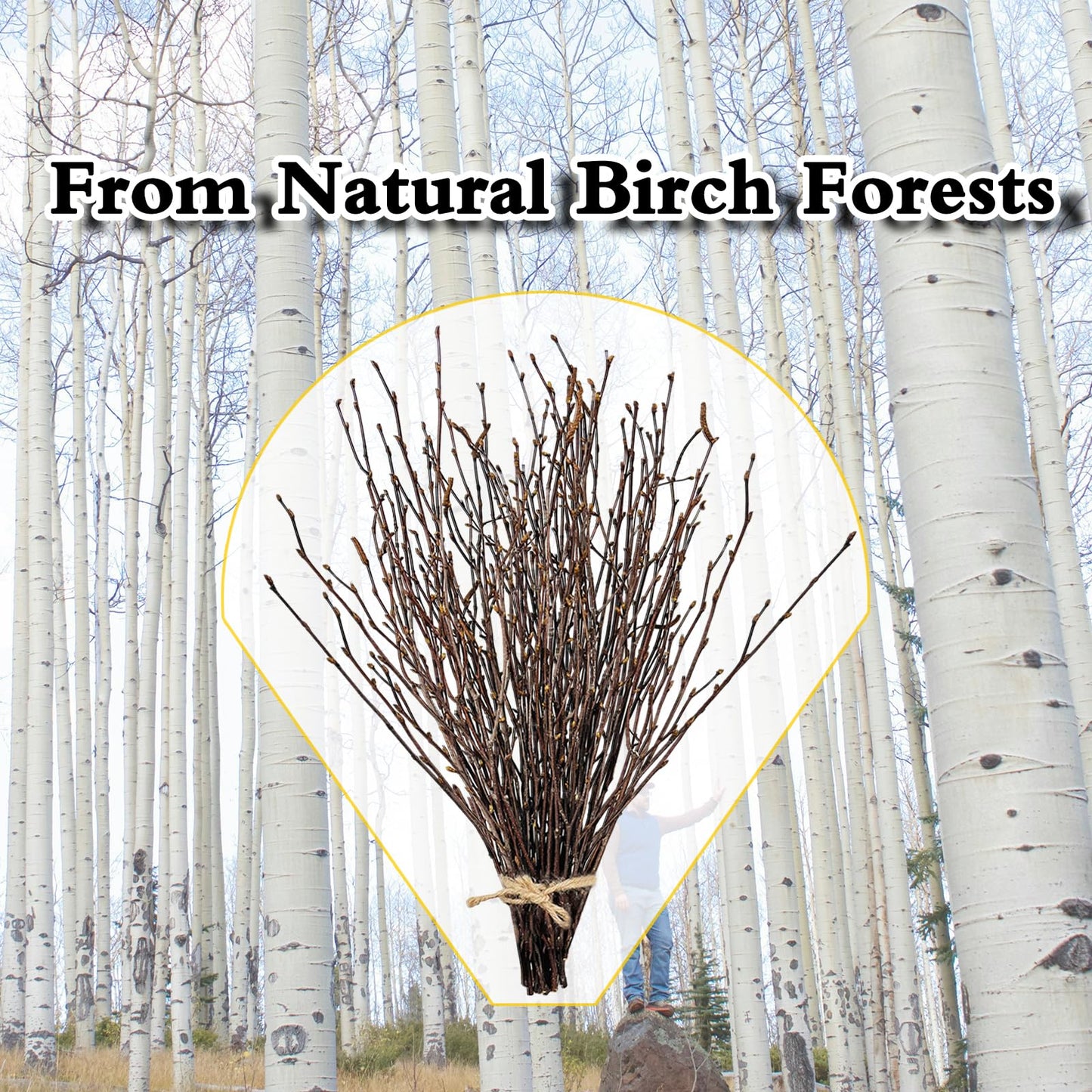 17 Inch Natural Birch Branches Dried Birch Twigs Wreath Making Supplies Dried Plants for Rustic Home Decor Easter Stems Vase Filler DIY Crafts Vases Tall Wreath Christmas Decoration Wedding (100Pcs)