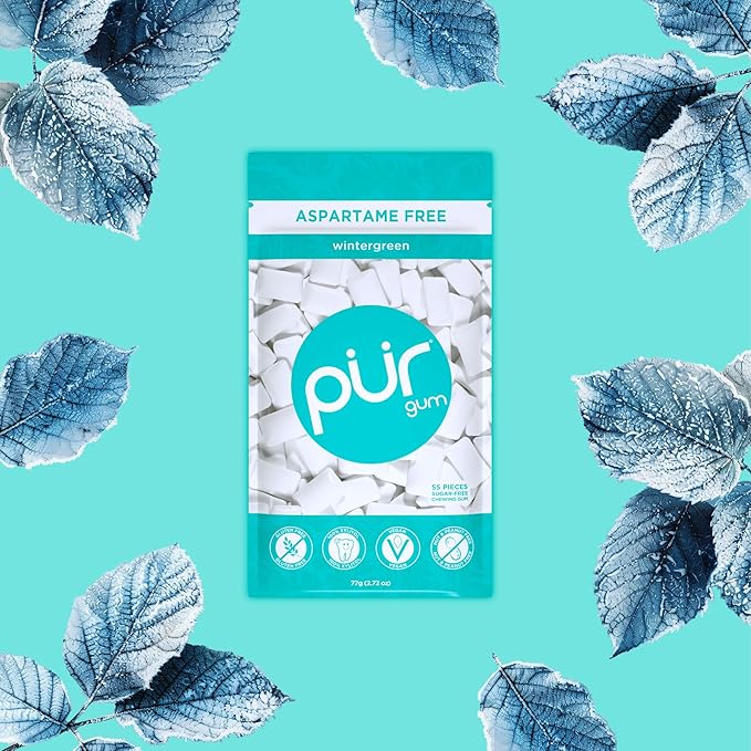 PUR Gum | Aspartame Free Chewing Gum | 100% Xylitol | Natural Wintergreen Flavored Gum, 55 Pieces (Pack of 12)