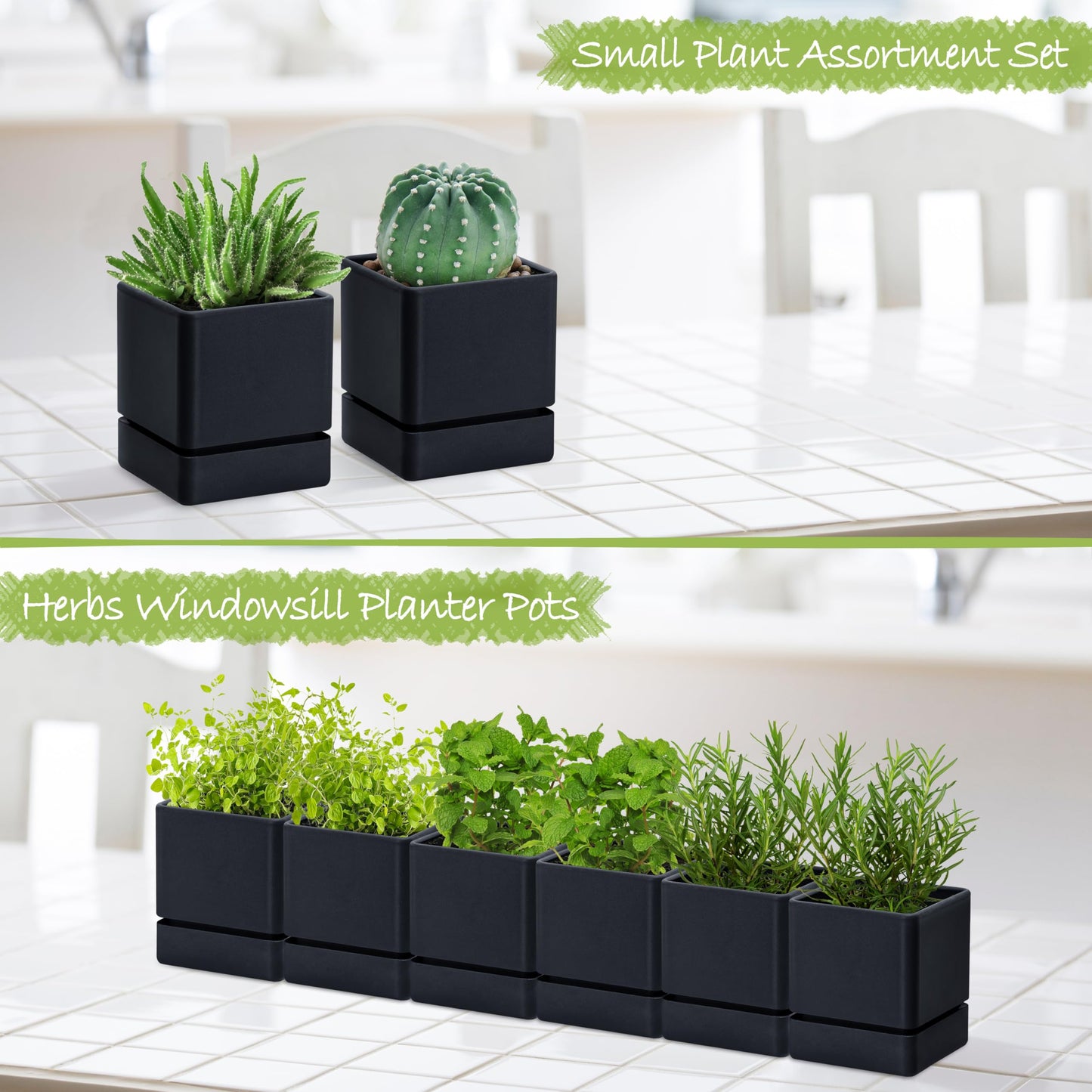 D'vine Dev 4 Inch Herb Planter Pot, Plastic Planter with Drainage Holes and Saucer, Modern Decorative Gardening Pot for Indoor Plants, Flowers, Herbs, Succulents, Black, Set of 6, 76-Y-B6-1