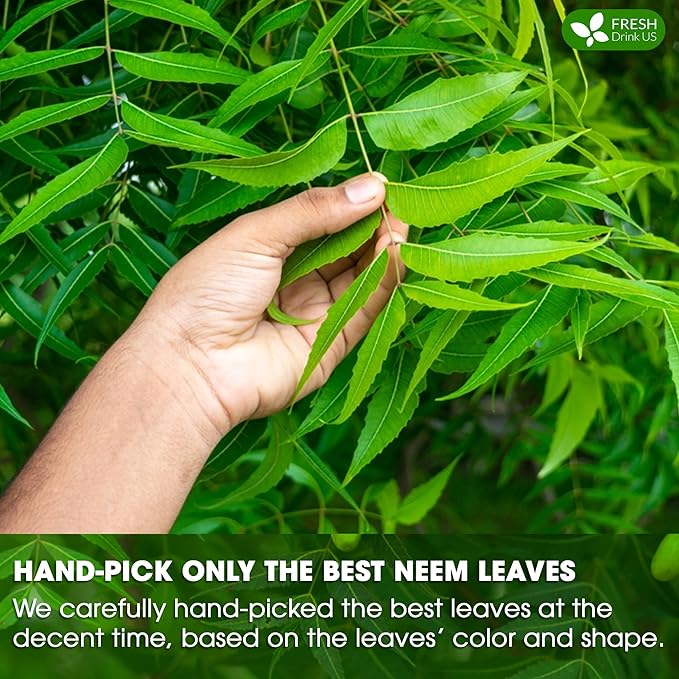 FreshDrinkUS, Premium 33 Neem Leaf Tea Bags, 100% Natural and Pure from Neem Leaves. Herbal Tea. No Sugar, No Caffeine, No Gluten, Vegan.