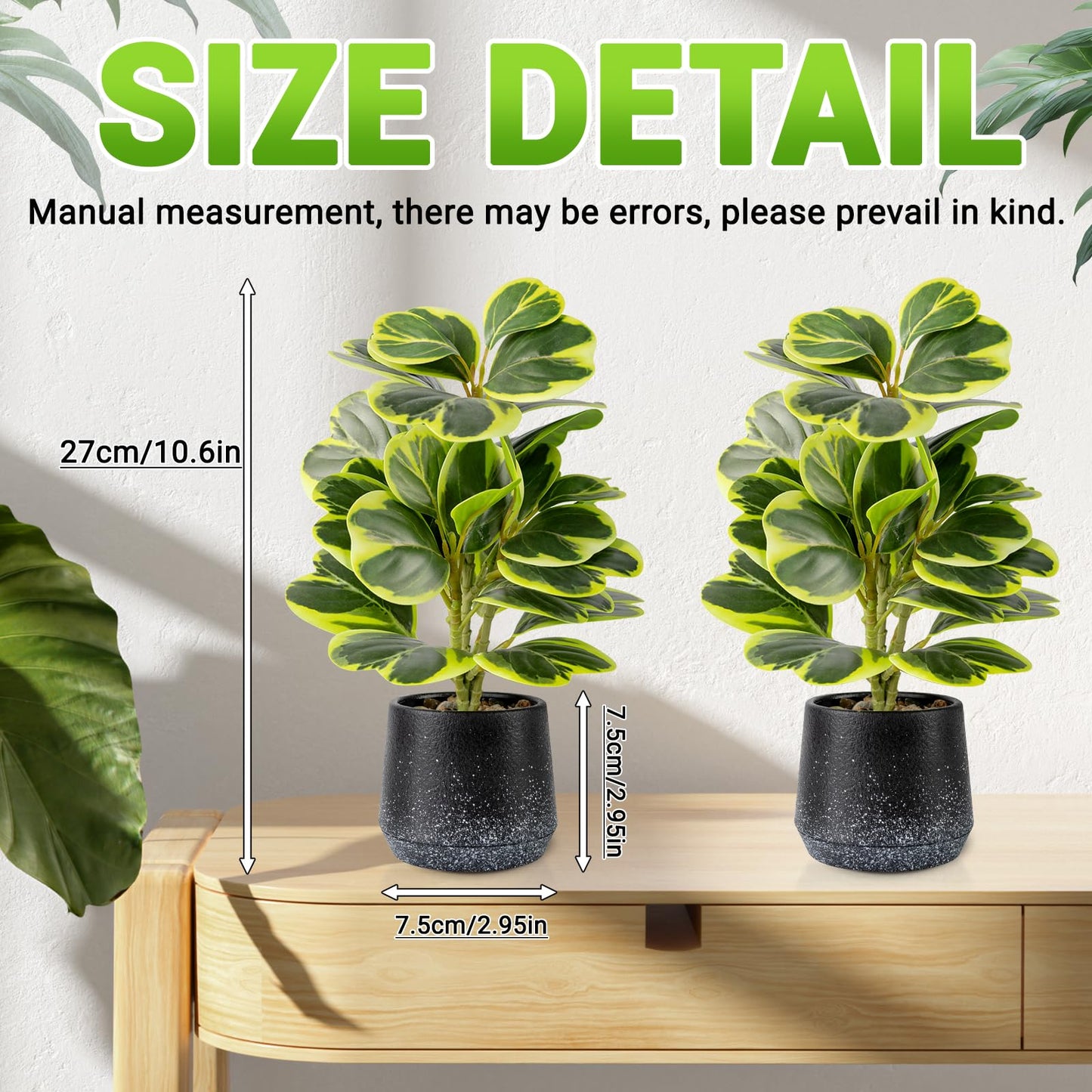 WOHSEROM 2 Pack Realistic Artificial Potted Plants Peperomia Obtusifolia, 11" Small Faux Greenery for Desk, Bathroom, Office, or Home Decor (Evergreen, Maintenance Free)