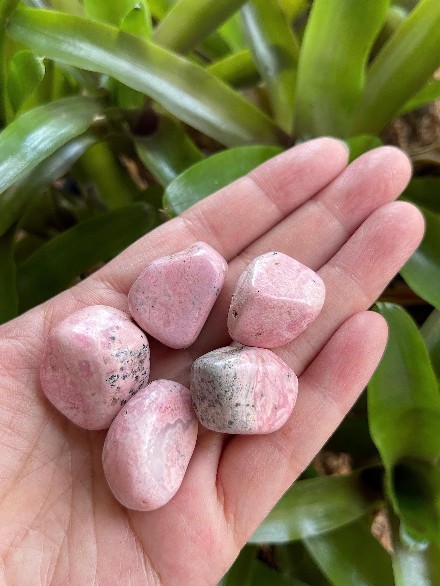 GAF TREASURES 5 Pcs Rhodonite Tumbled Stones, Polished Rhodonite Gemstone, Rhodonite Healing Crystals (Rhodonite)