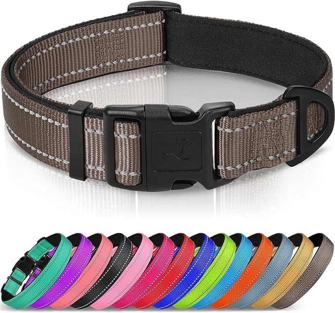 Joytale Reflective Dog Collar, Adjustable Neoprene Padded, Gray XL