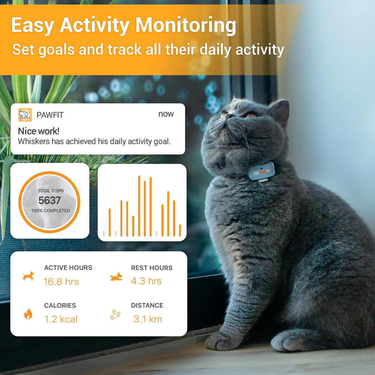 Pawfit Lite 4G GPS Cat Tracker, Live Tracking, Ultra-Light, Charcoal Grey