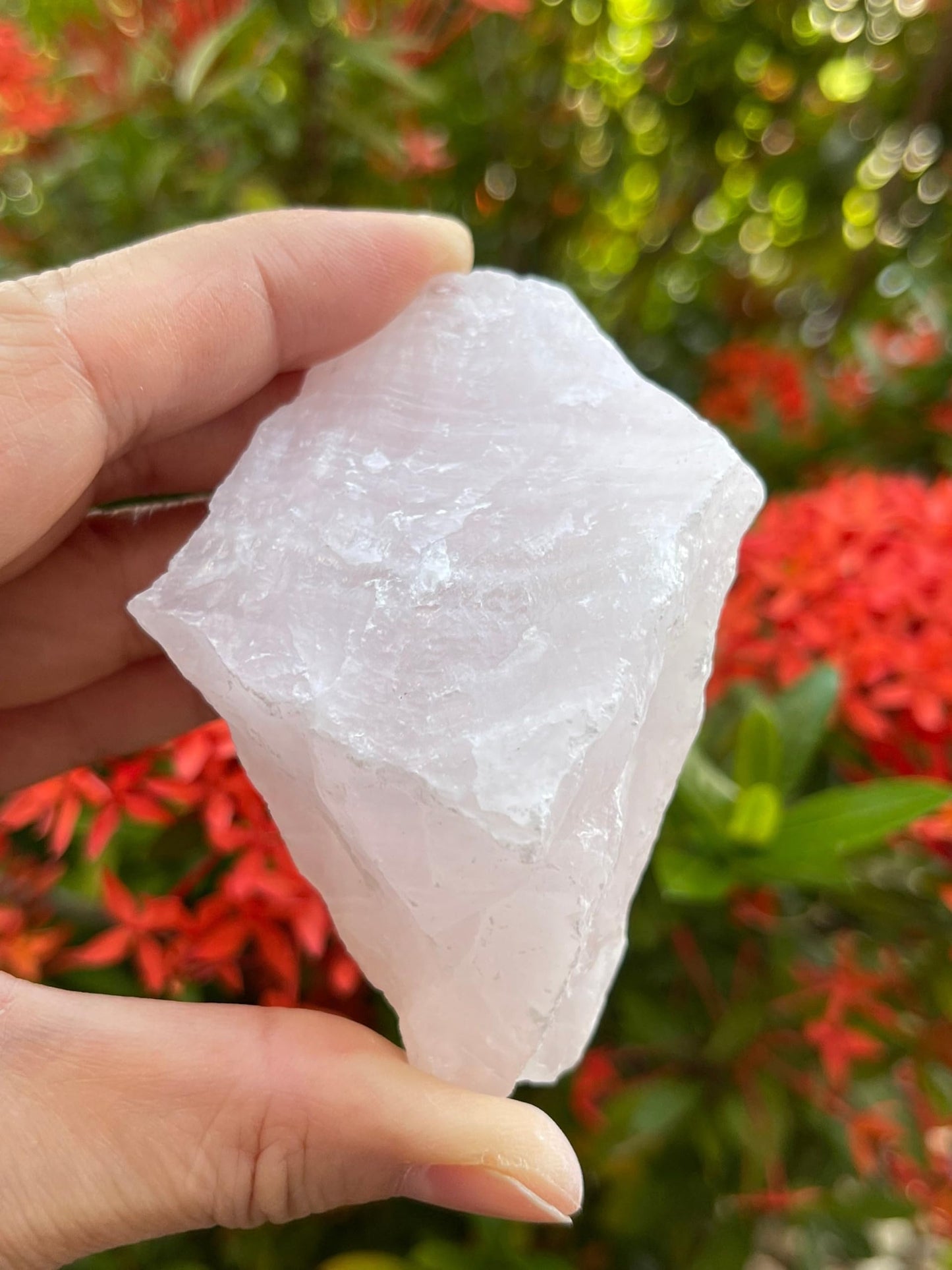 GAF TREASURES XL Pink Calcite Raw Stone, 3-4" Natural Calcite Healing Crystal (Pink Calcite, 0.5-1 lb)
