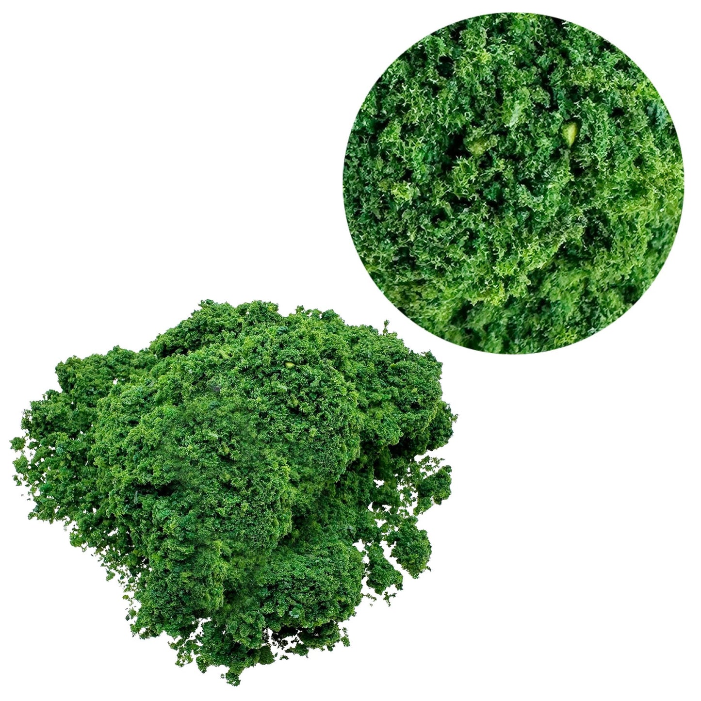 Woohome 3 Color Tree Powder for DIY Model Trees Basing Material Kit, Tree Powder Model for DIY Miniature Model Shrub Bushy Tuft, Building Model Railway Fairy Garden Diorama Scenery