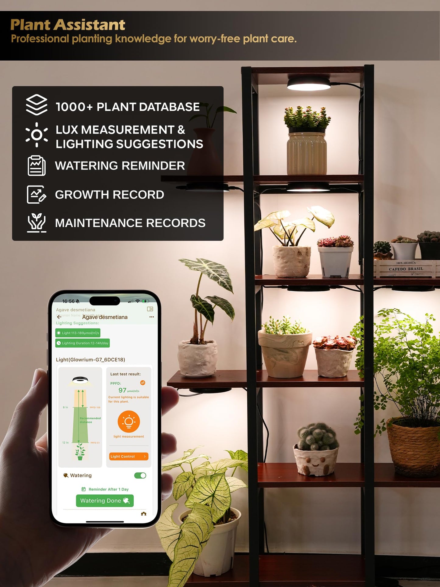 GLOWRIUM Grow Lights for Indoor Plants, 32W Smart Full Spectrum LED Grow Light, Auto Timer and Stepless Dimming,Plant Assistant with Watering Reminder,Modular Design (Black, 4PCS)