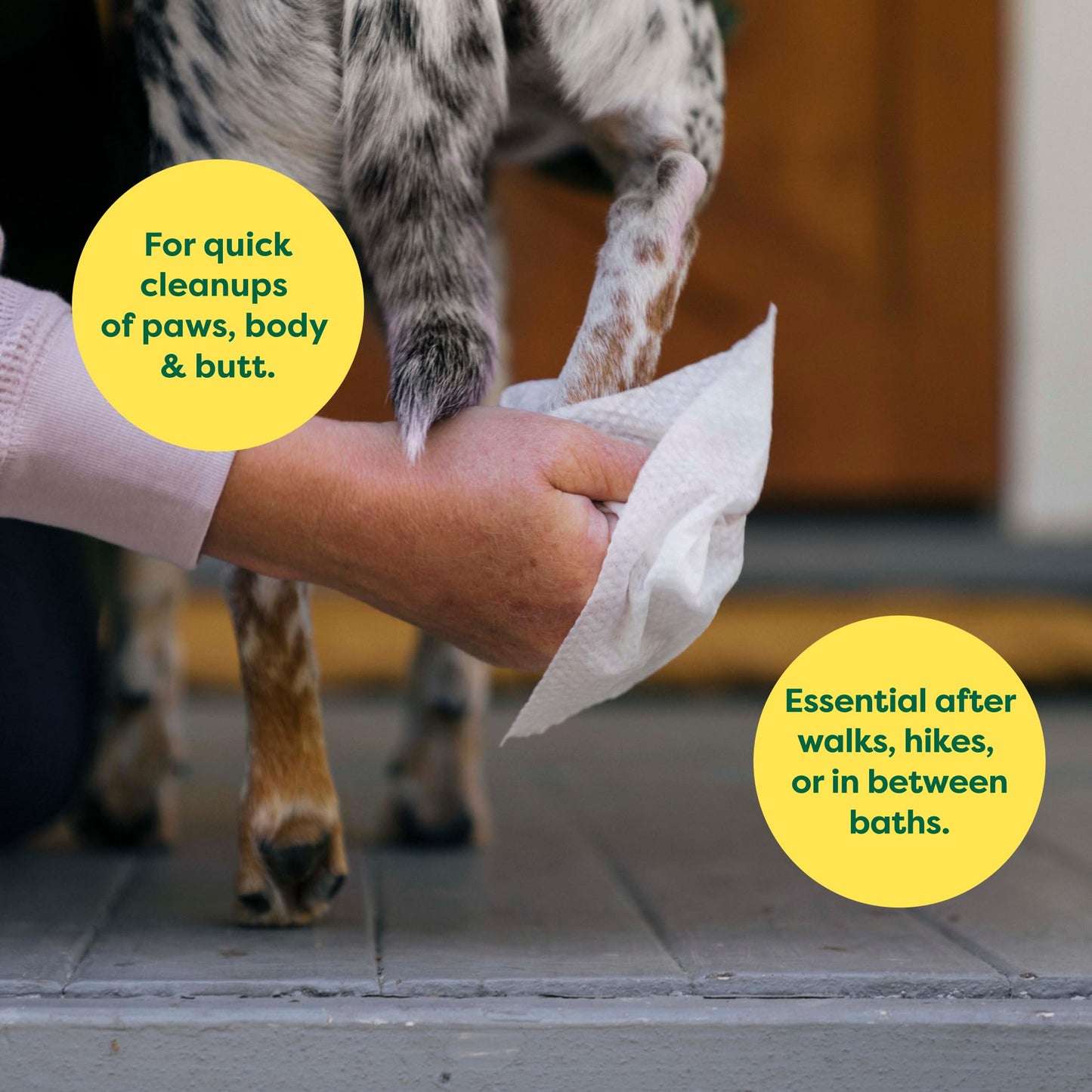 Earth Rated Ear Wipes & Grooming Wipes Bundle - Includes 70 Wild Oat-Scented Pet Ear Wipes and 100 Unscented Grooming Wipes.