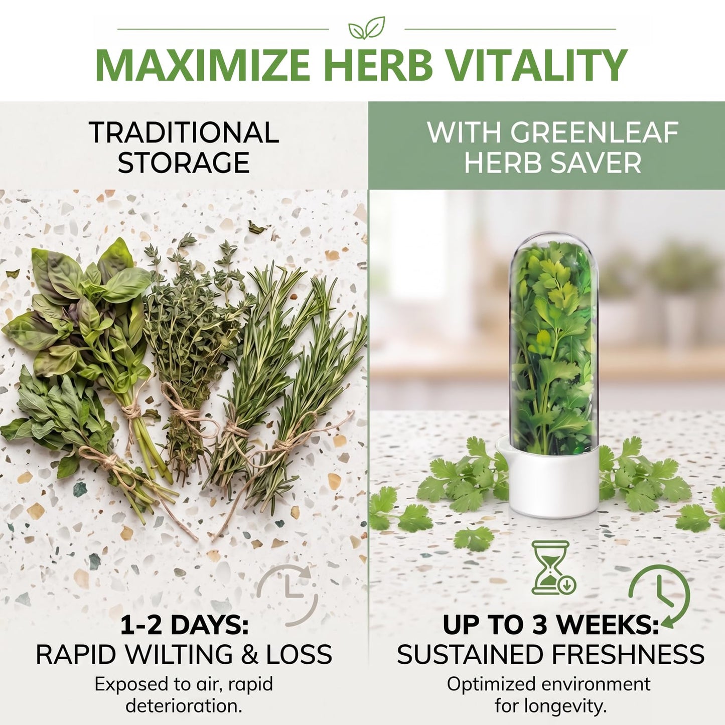 Anreelkou 2PCS Herb Saver, Herb Keeper for Refrigerator, Cilantro Container for Fridge, Hard Shell Fresh Herb Storage for Asparagus, Parsley, Mint, Rosemary, Keeps Greens Fresh for 2-3 Weeks