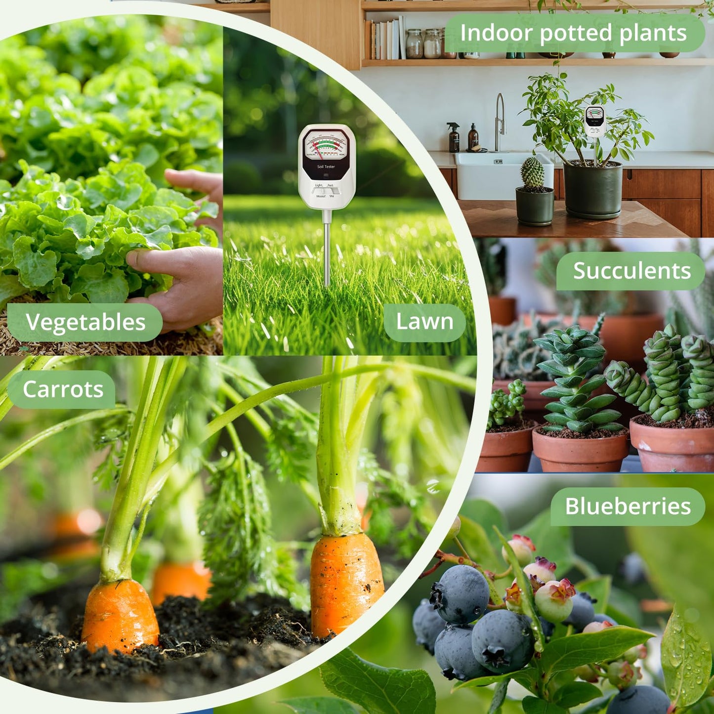 Buladeke 4-in-1 Soil Moisture Meter Soil Moisture/Fertility/PH Meter/Sunlight Intensity Soil Test Meter for Gardening, Farming and Outdoor Plants
