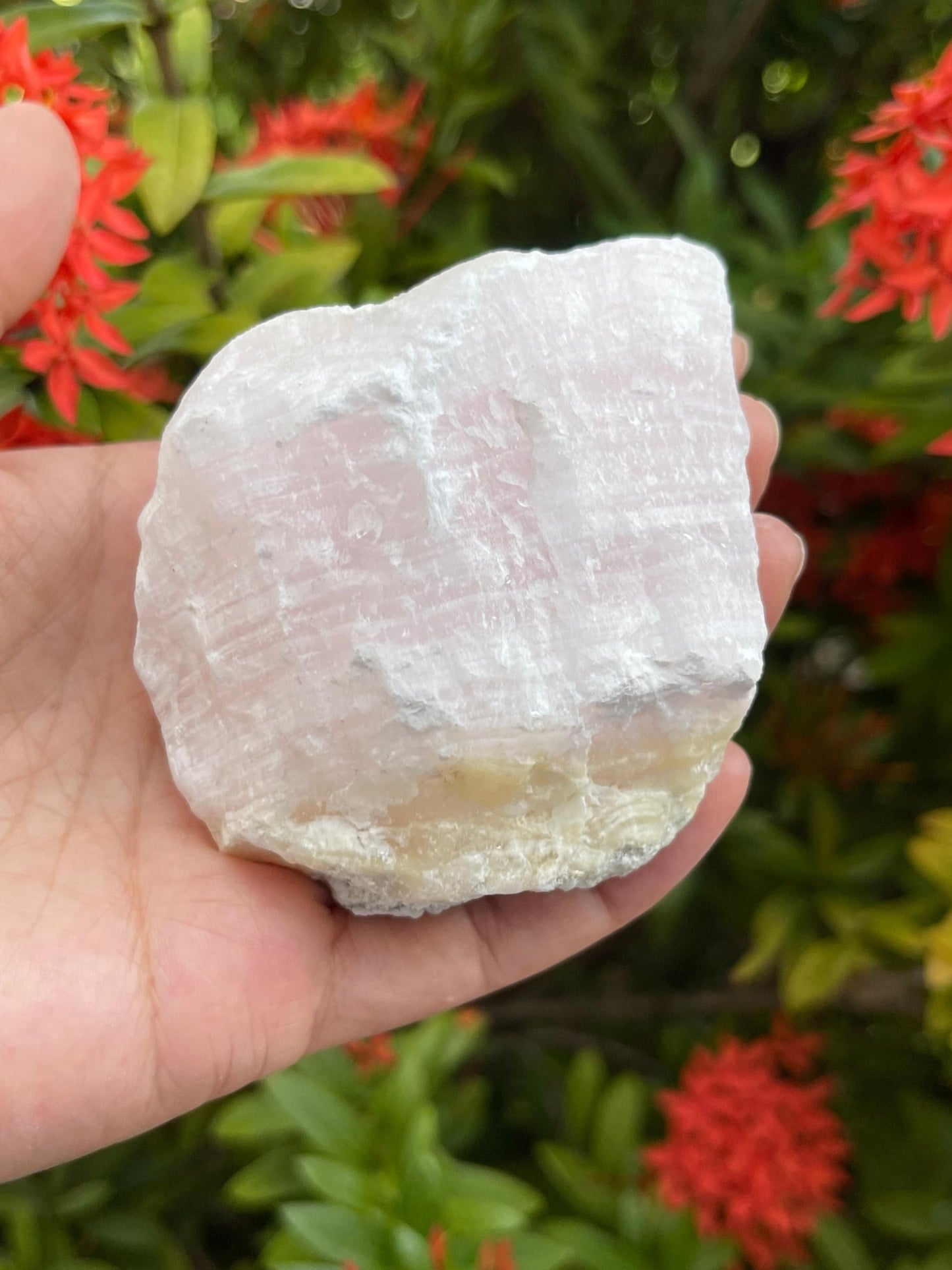 GAF TREASURES XL Pink Calcite Raw Stone, 3-4" Natural Calcite Healing Crystal (Pink Calcite, 0.5-1 lb)