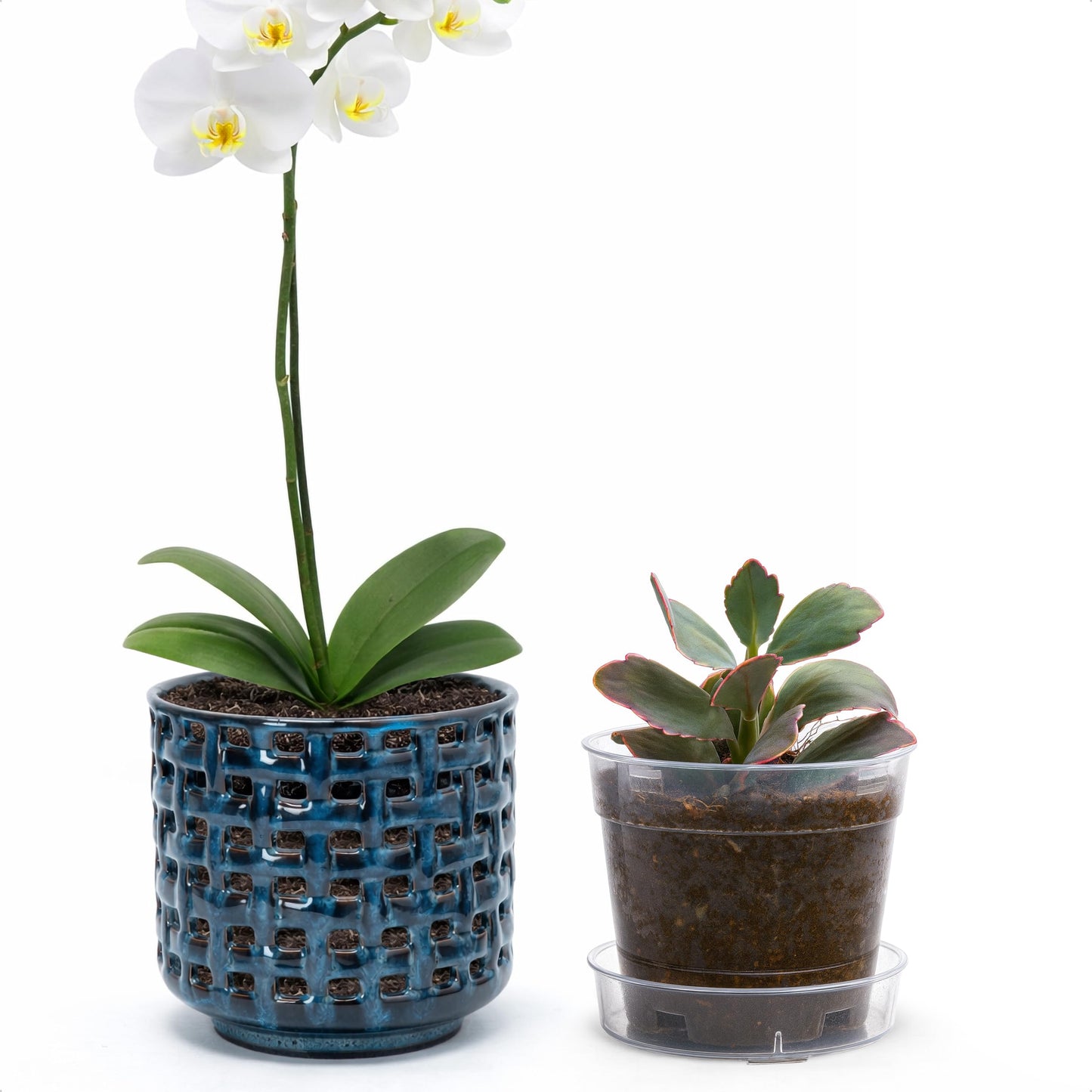 D'vine Dev 4.5 Inch Ceramic Orchid Planter with Lattice Cutout Design, Glazed Cachepot with Clear Nursery Pot & Detachable Saucer for Orchids and Indoor Plants, Midnight Blue, 28-A-Z-2